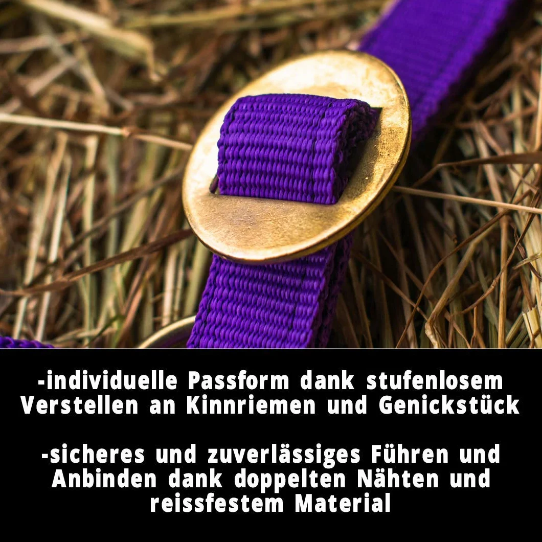 Cavezza per puledro Cavezza per mini Shetty Cavezza per cavallo di legno - Cavezza per puledro regolabile in 2 modi su sottogola e nuca (viola, puledro)