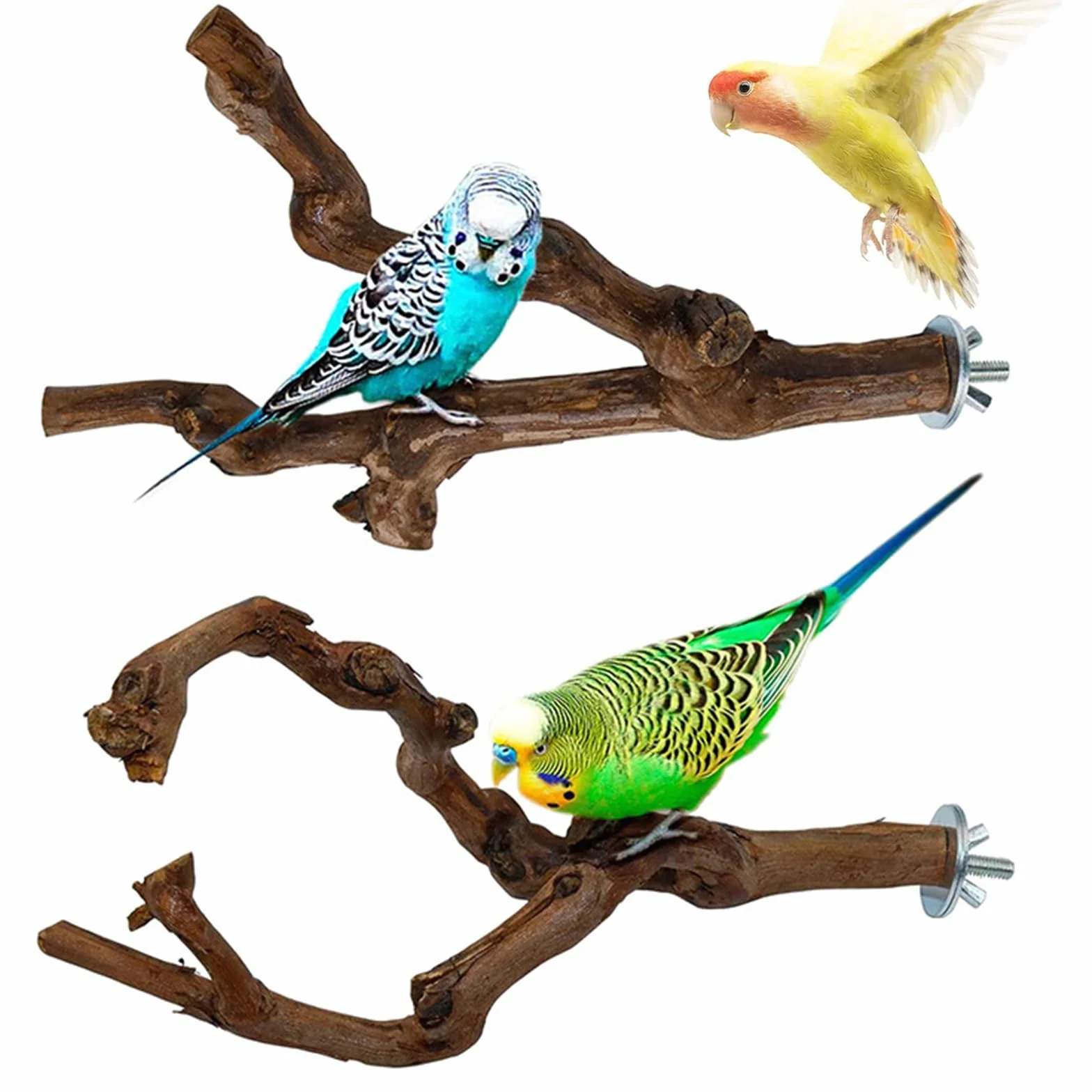 Posatoi per Pappagalli in Legno Naturale Ramo D'uva per Cacatua e Cocorite