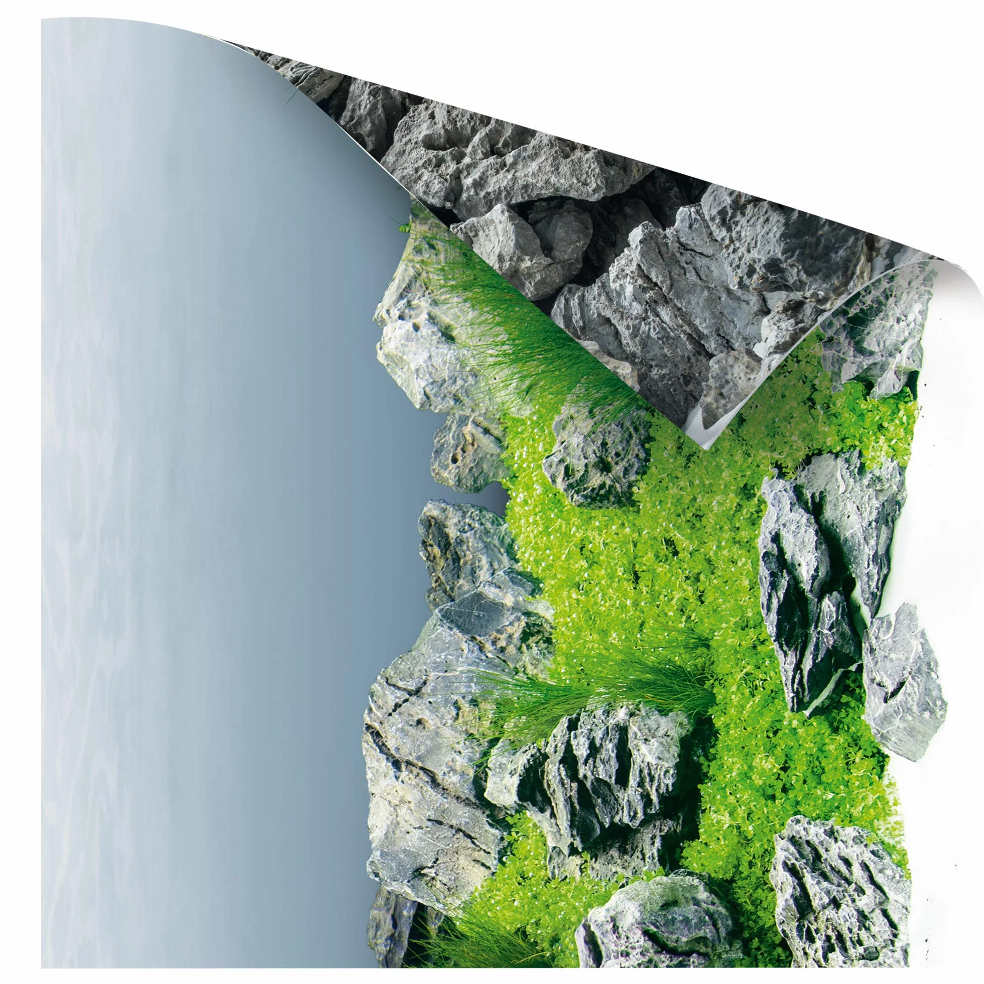 Juwel Aquarium - Poster 4-86254, S / 60 x 30 cm
