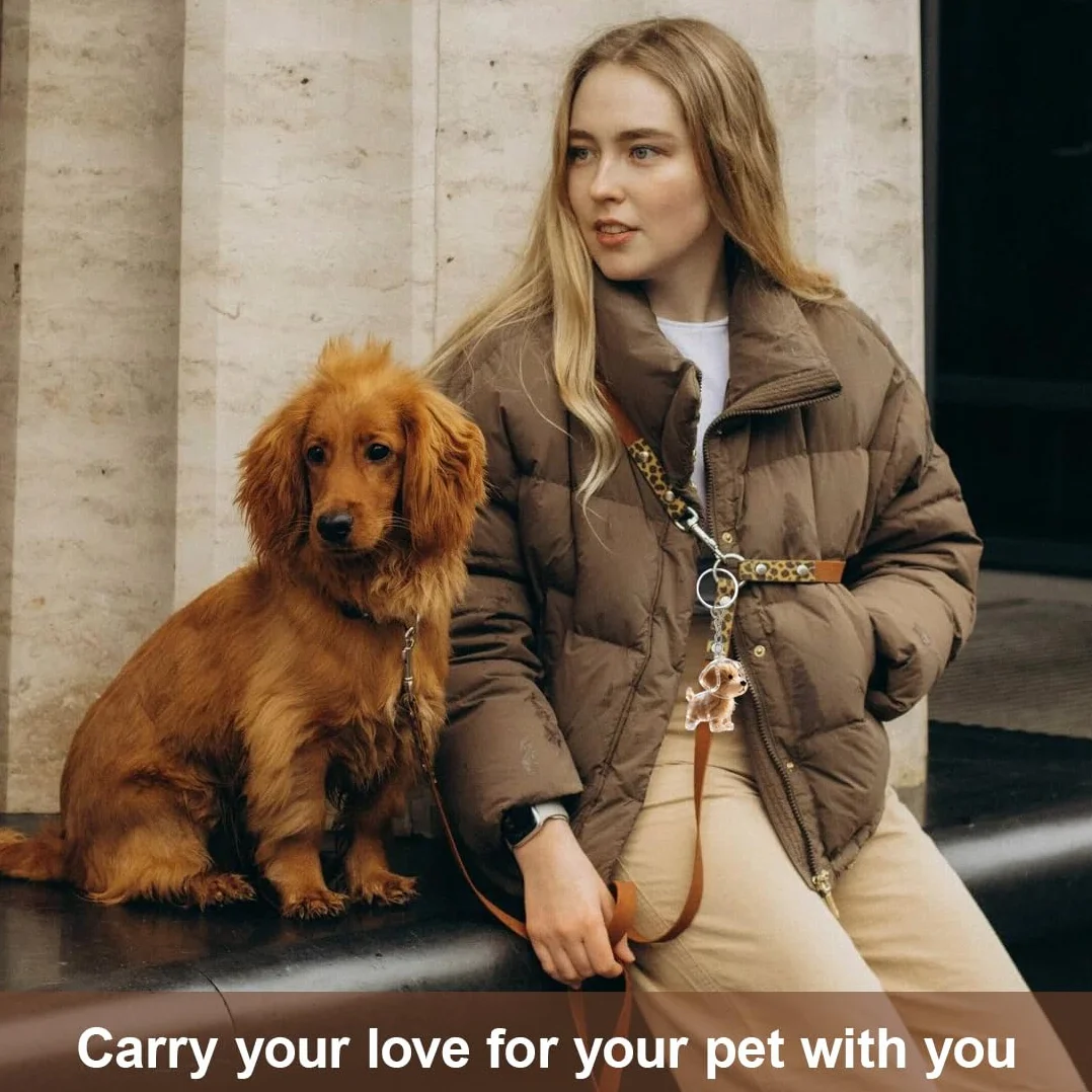 1 pezzo Portachiavi per collezionisti di peli di cane, ciondolo a capsula ricordo della pelliccia, regalo commemorativo, ciondolo commemorativo per peli di cane