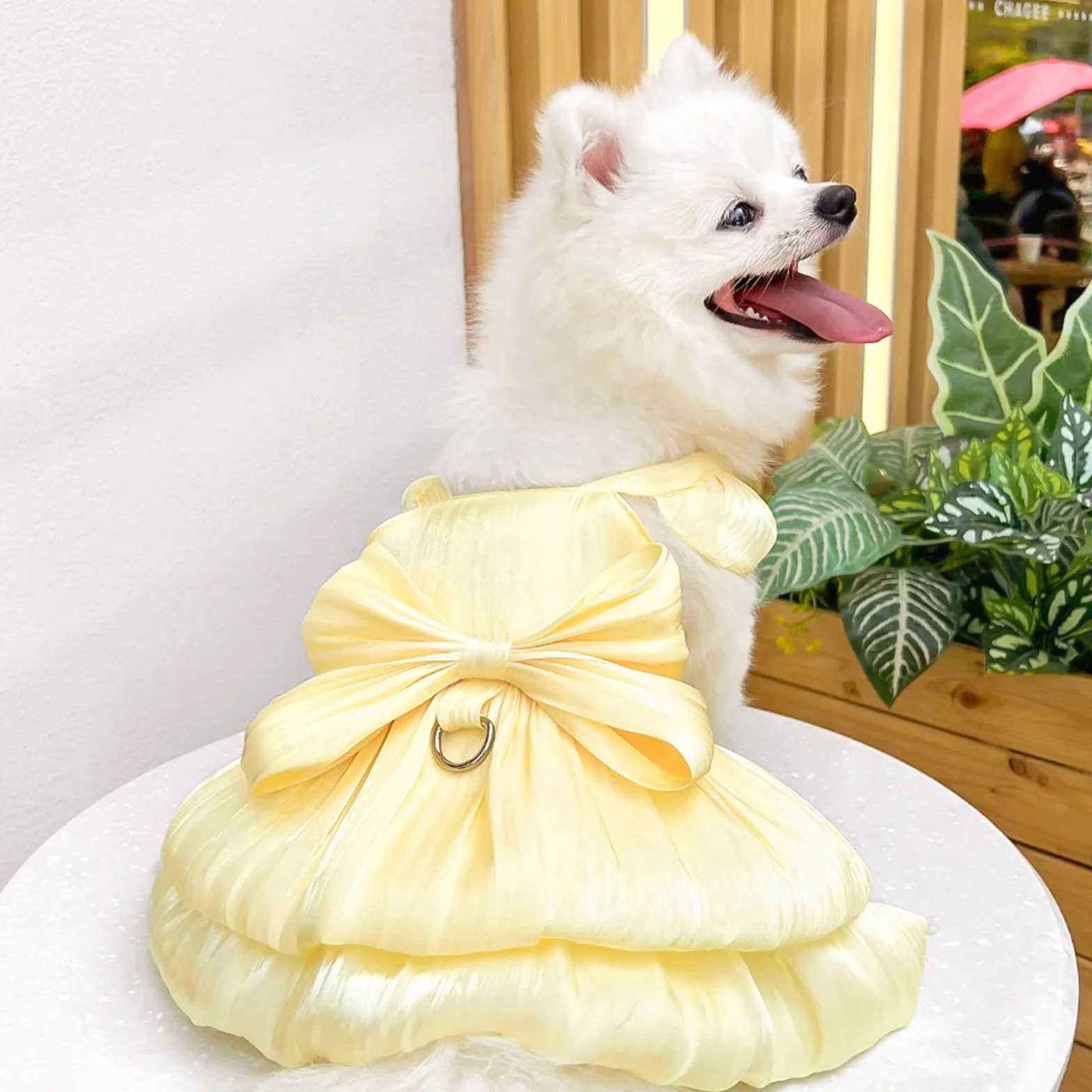Vestito da principessa per cani piccola taglia gatto fiocco anello D vestito sposa cuccioli gonna tutù costume estivo giallo S