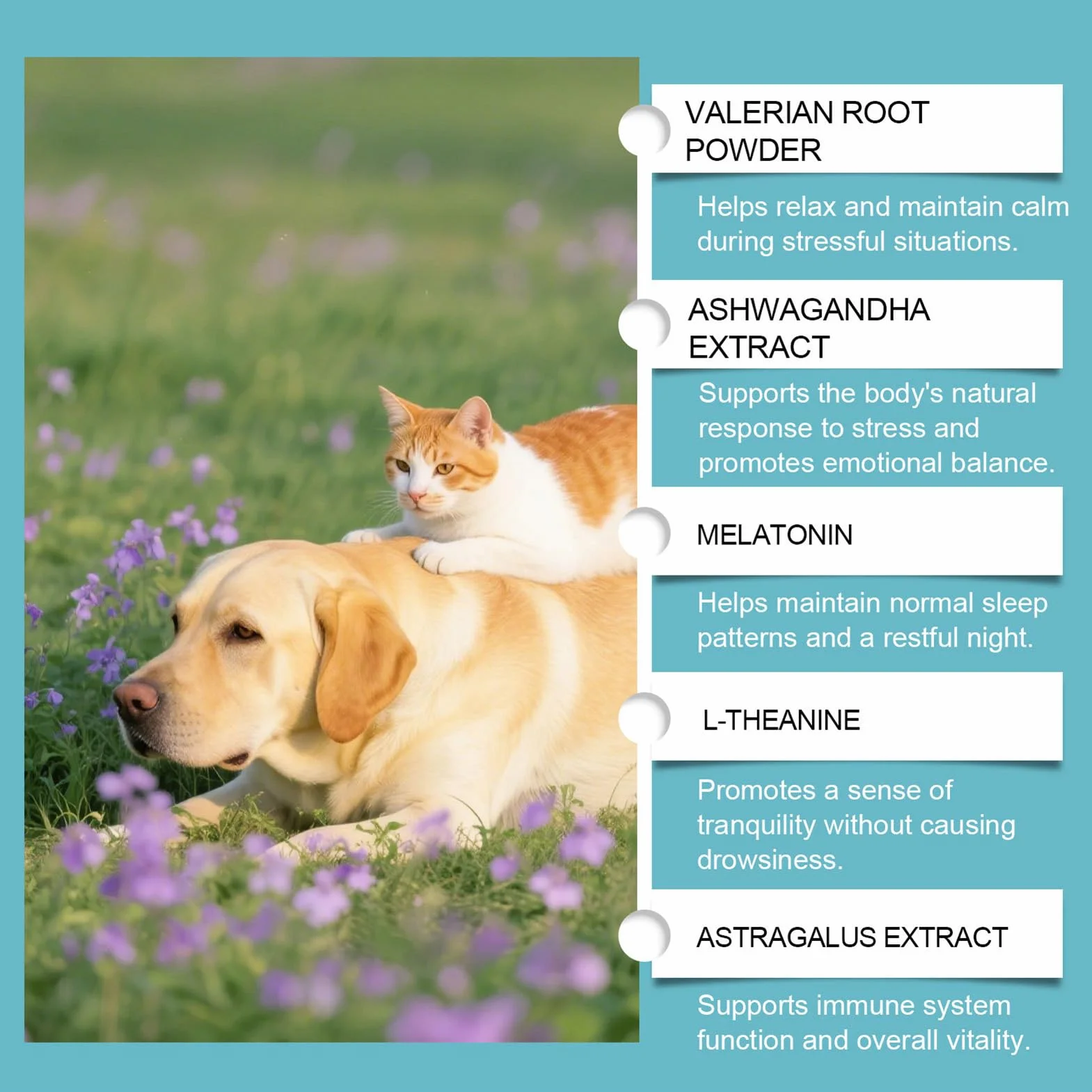 Calmante Per Gatti 60 Ml Sedativo Per Animali Domestici Integratore Rilassante Liquido