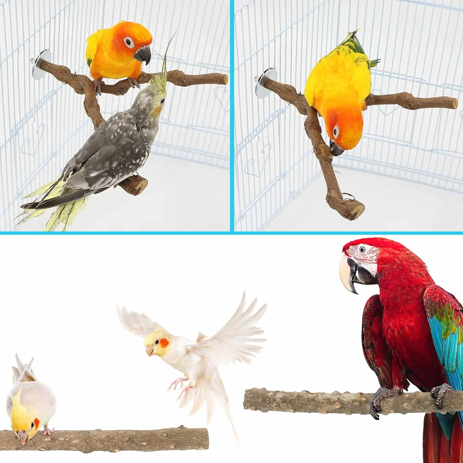 Posatoi per Pappagalli in Legno Naturale Ramo D'uva per Cacatua e Cocorite