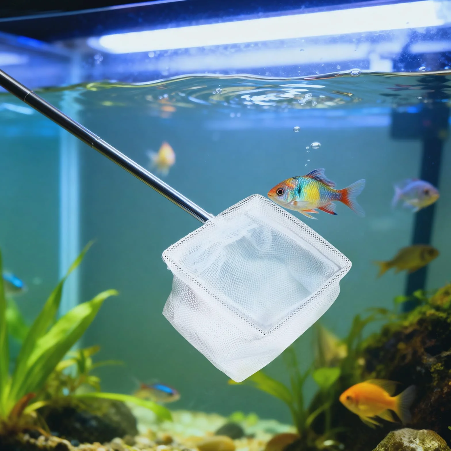 Set di 2 Retini Mini Acquario con Manico in Acciaio Inossidabile – Rete da Pesca a Maglia Fine con Manico Telescopico (13-40 cm) per Acquario, Stagno e Pulizia (8x6,5 cm)