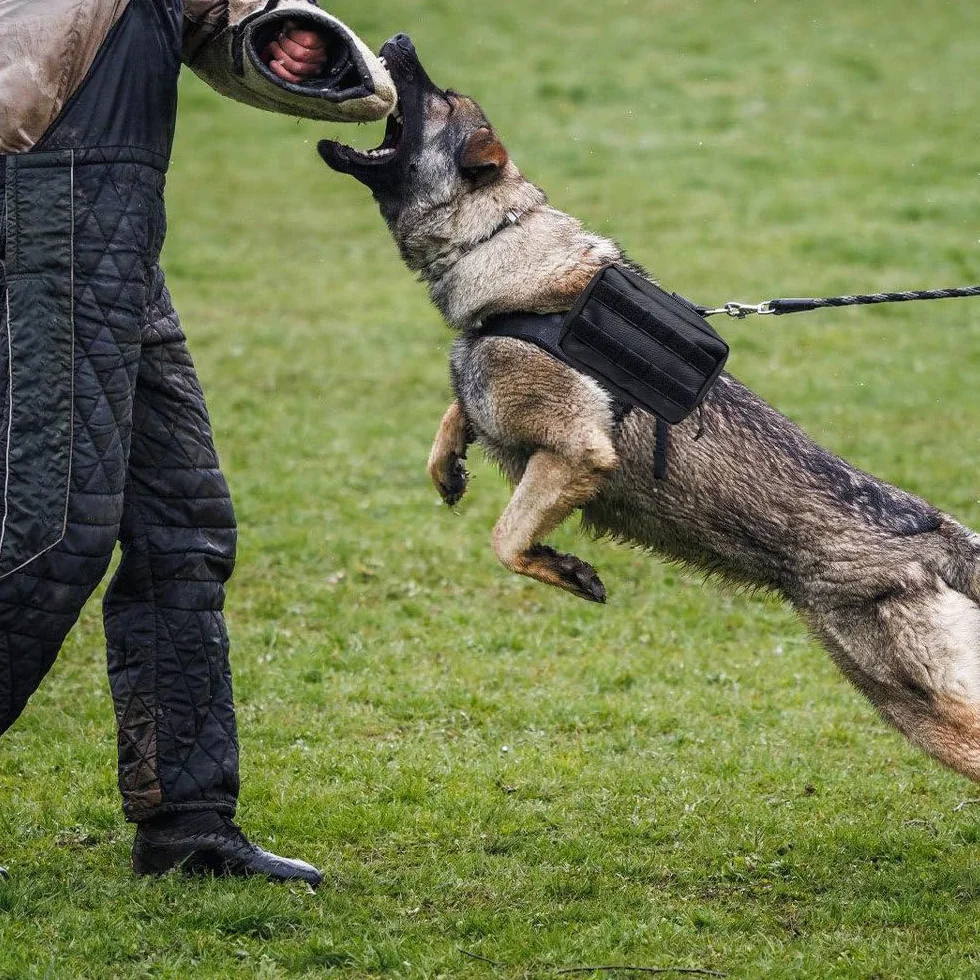 Borsa da Sella per Cani, Zaino Tattico per Imbracatura per Cane in Nylon 1000D, Molle Zaini per Trasporto Cani con Scomparti, per Guinzagli, Collari, Ciotole, Sacchetti per Escrementi e Chiavi