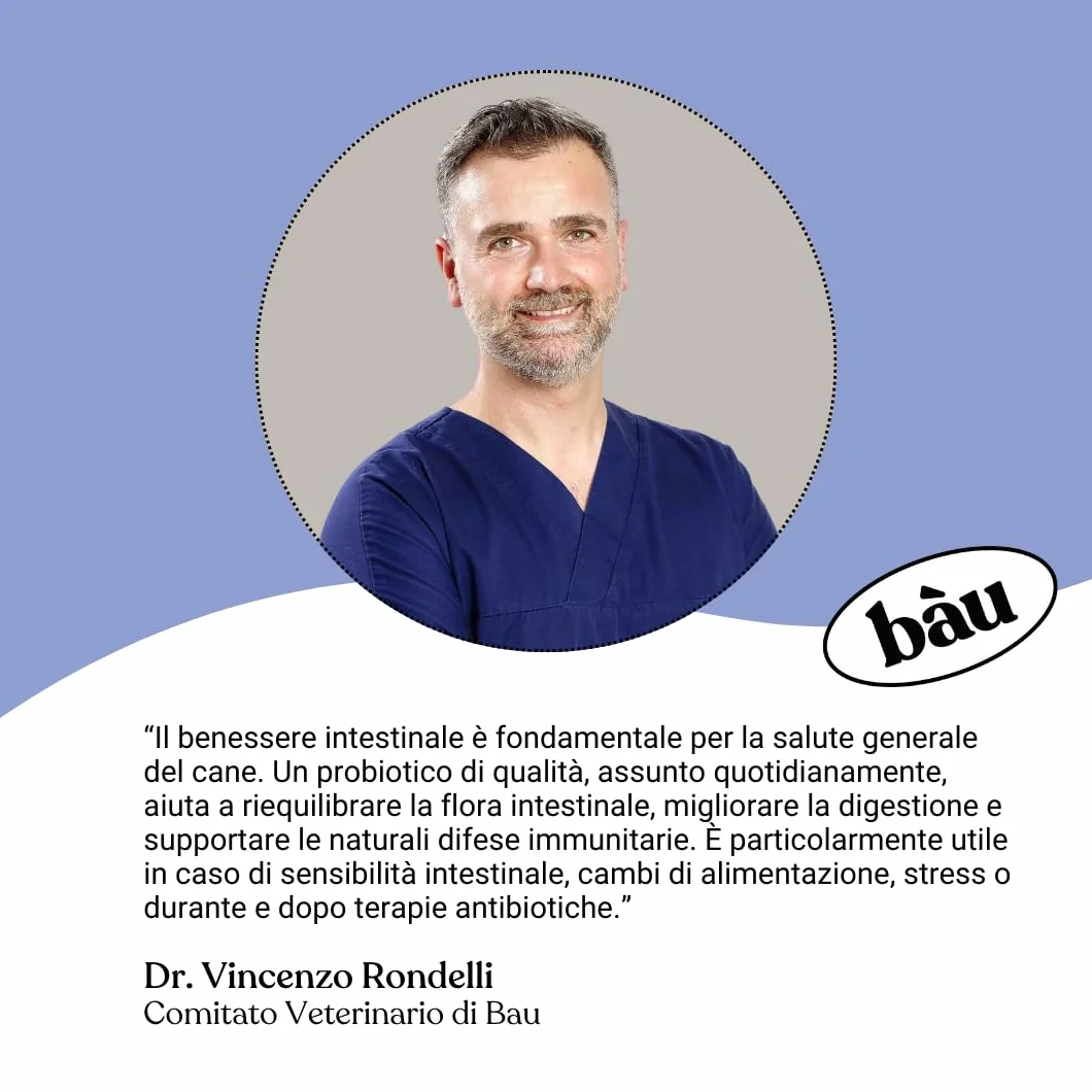 Bau Probiotici per Cani, Fermenti Lattici Cane, Supporto Gastrointestinale Cane, Probiotico Digestivo per Cani Prurito, Integratore Diarrea Cane con Ingredienti Naturali, Probiotico Cane -60cps