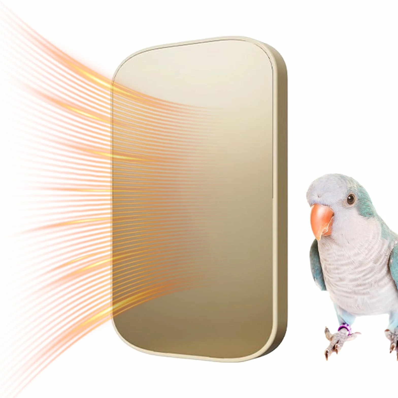 Riscaldatore Gabbia Uccelli, Termostato Riscaldante Per Pappagalli E Uccelli, Accessorio Riscaldante per Pappagalli Conuri Voliere Conigli Criceti Animali Piccoli