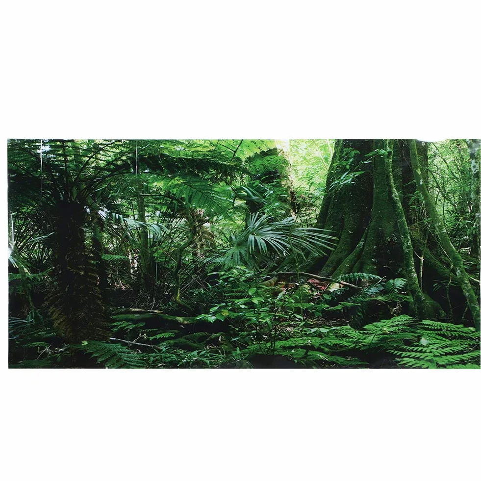 Effetto Foresta pluviale 3D Poster Rettile Autoadesivo Terrario Acquario Sfondo Acquario Adesivo murale Acquario Sfondo Poster subacqueo PVC Decor Wall Paper (61 × 41cm)