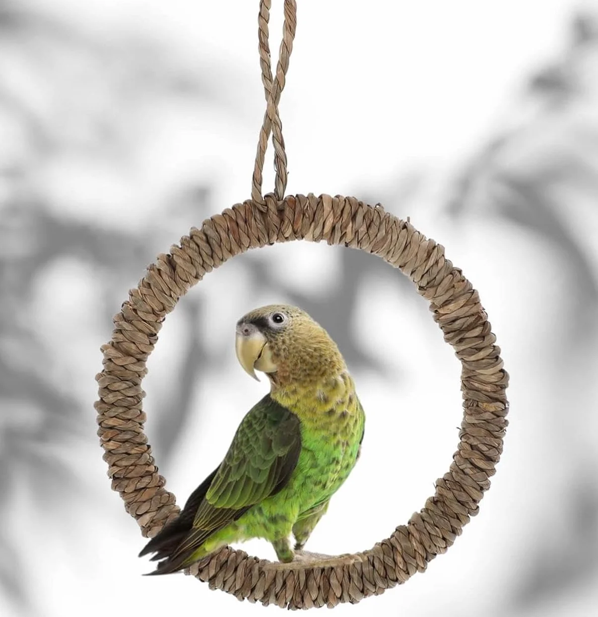 Giocattoli per uccelli 4 pezzi 15cm altalena per uccelli corda giocattoli da appendere gabbia rompi noia Calopsitte Pappagallini