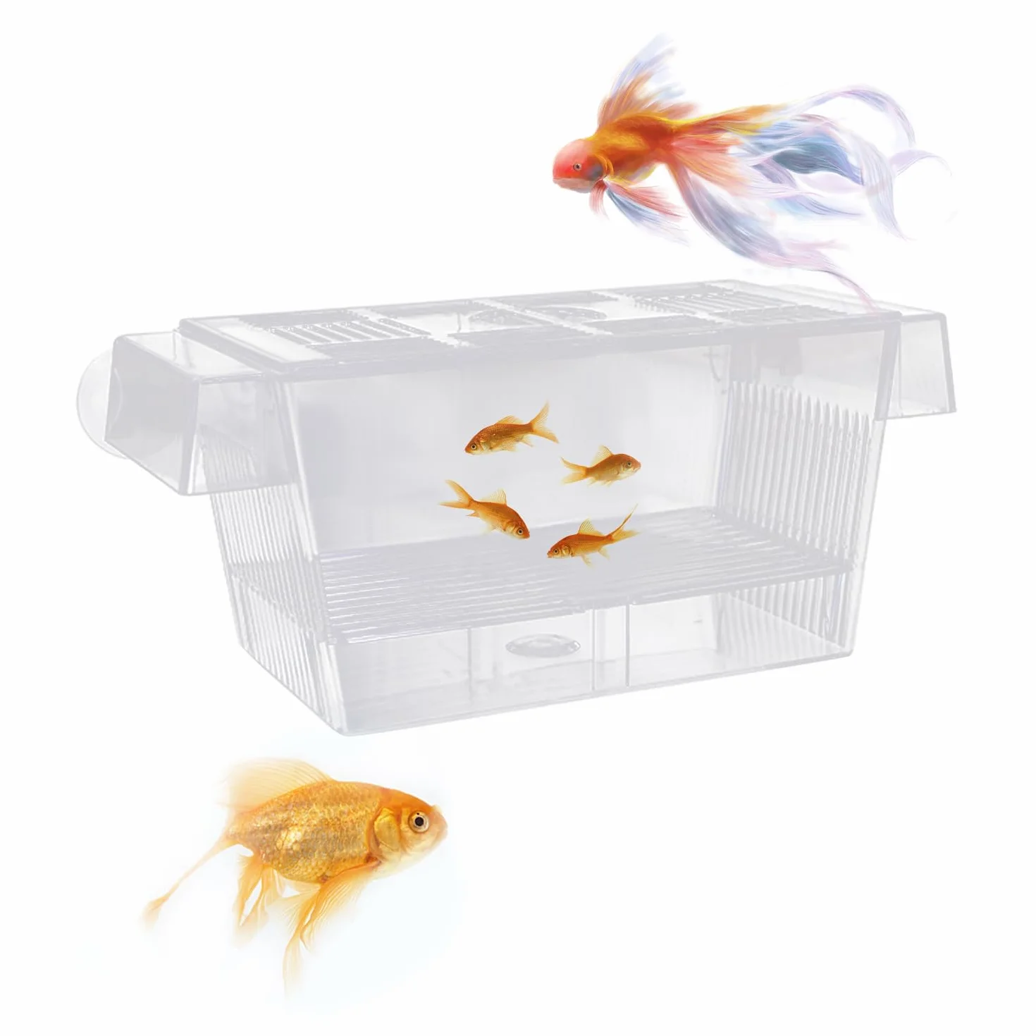 Scatola di isolamento trasparente a doppio strato, multifunzionale, galleggiante, con ventosa, per la cura di pesci piccoli nell'acquario, 12,6 x 7 x 7 cm