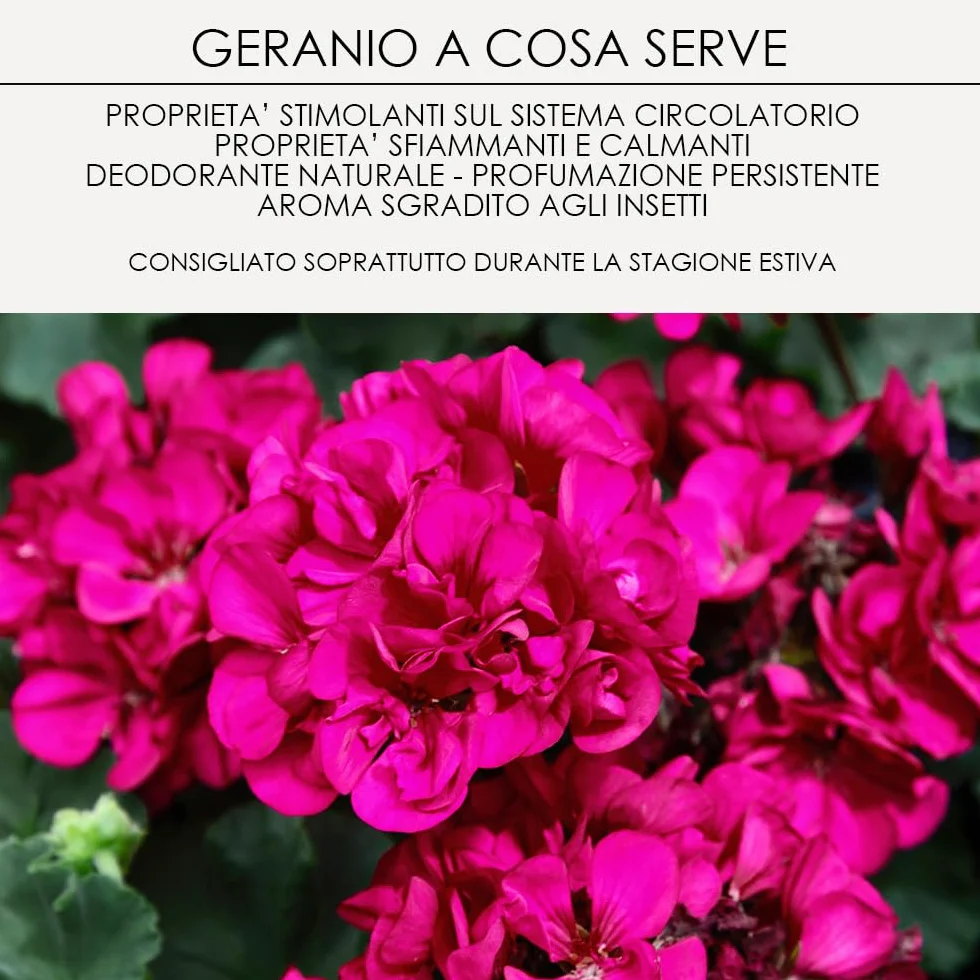Crema Gel Geranio & Citronella con Oli Essenziali 500g Repellente Insetti Manto Lucido Made in Italy