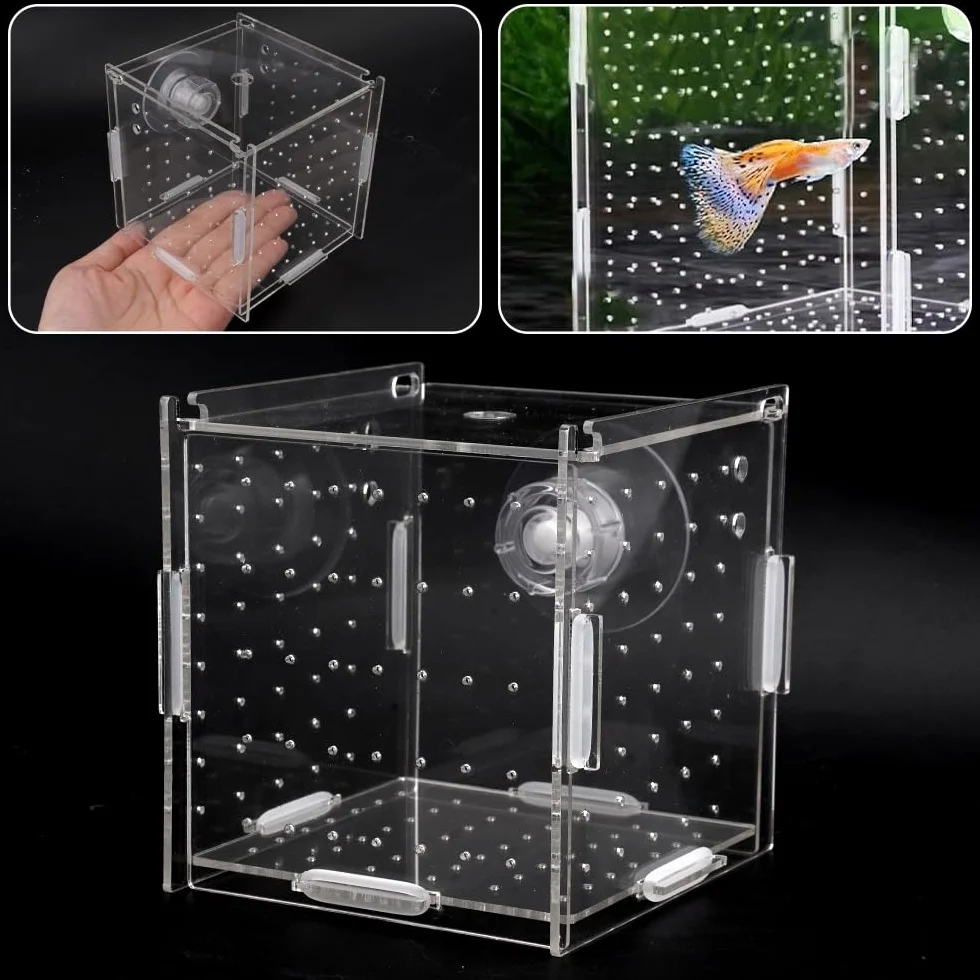 10 × 10 × 10cm Allevamento per Acquario con Ventosa, Mini Terrario per Insetti, Piccola Acrilico Scatola di Allevamento, Trasparente Sala Parto Acquario, per L'isolamento, la Schiusa, la Piscicoltura