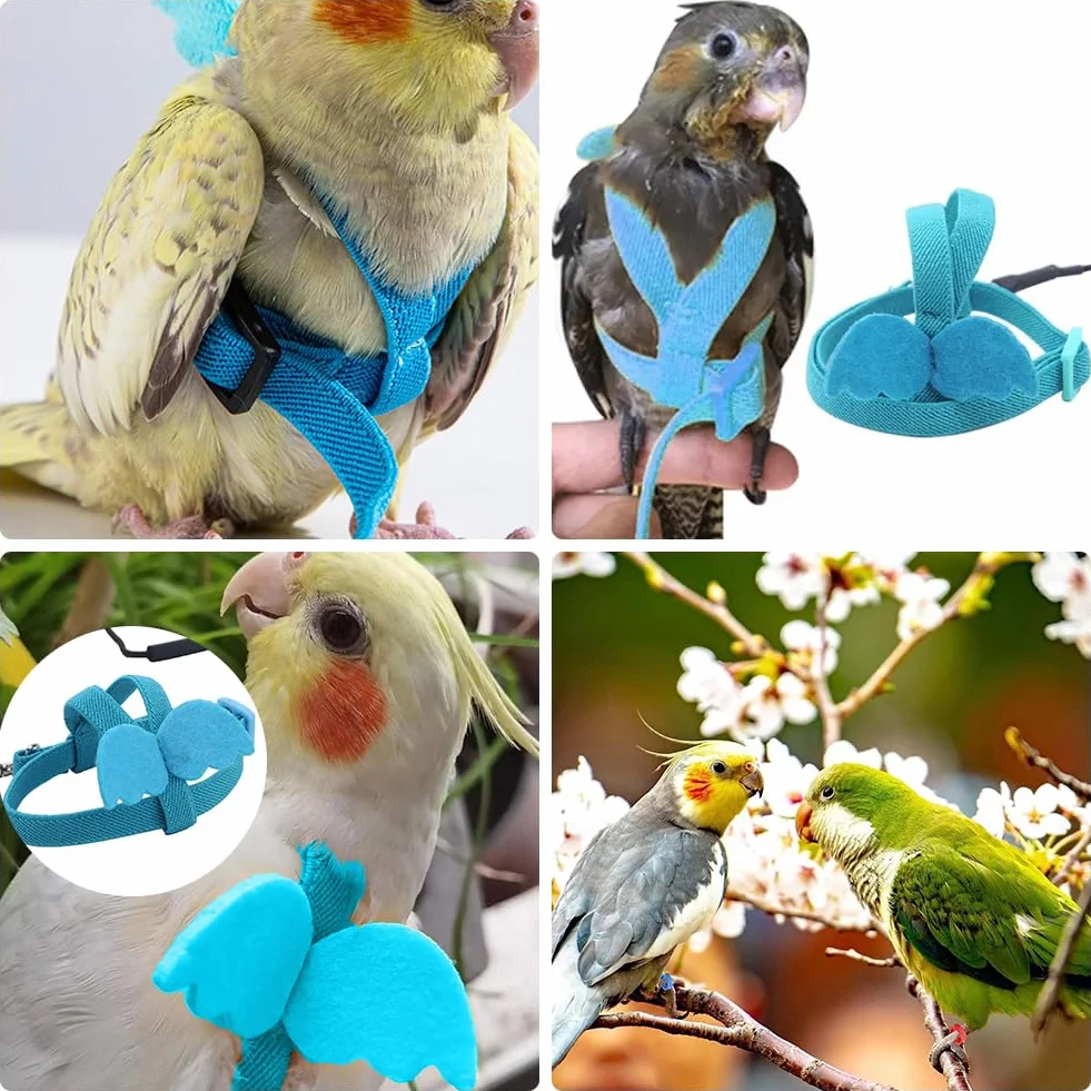 Imbracatura per Uccelli e Guinzaglio, Pettorina Regolabile per Pappagalli, Addestramento Volante Pettorina Uccelli, Pappagalli Anti-morso Imbracatura al Volo, Outdoor Corda per Volare per Pappagalli