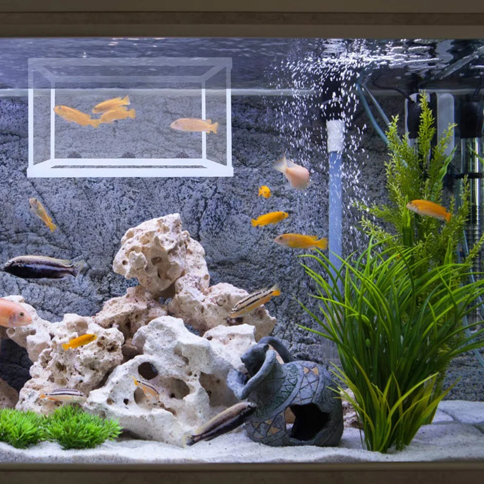2 Confezioni Scatola di Allevamento per Acquario Scatola di Isolamento per Vivaio di Pesci Acquario Rete per Incubatoi con Ventose per Acquario