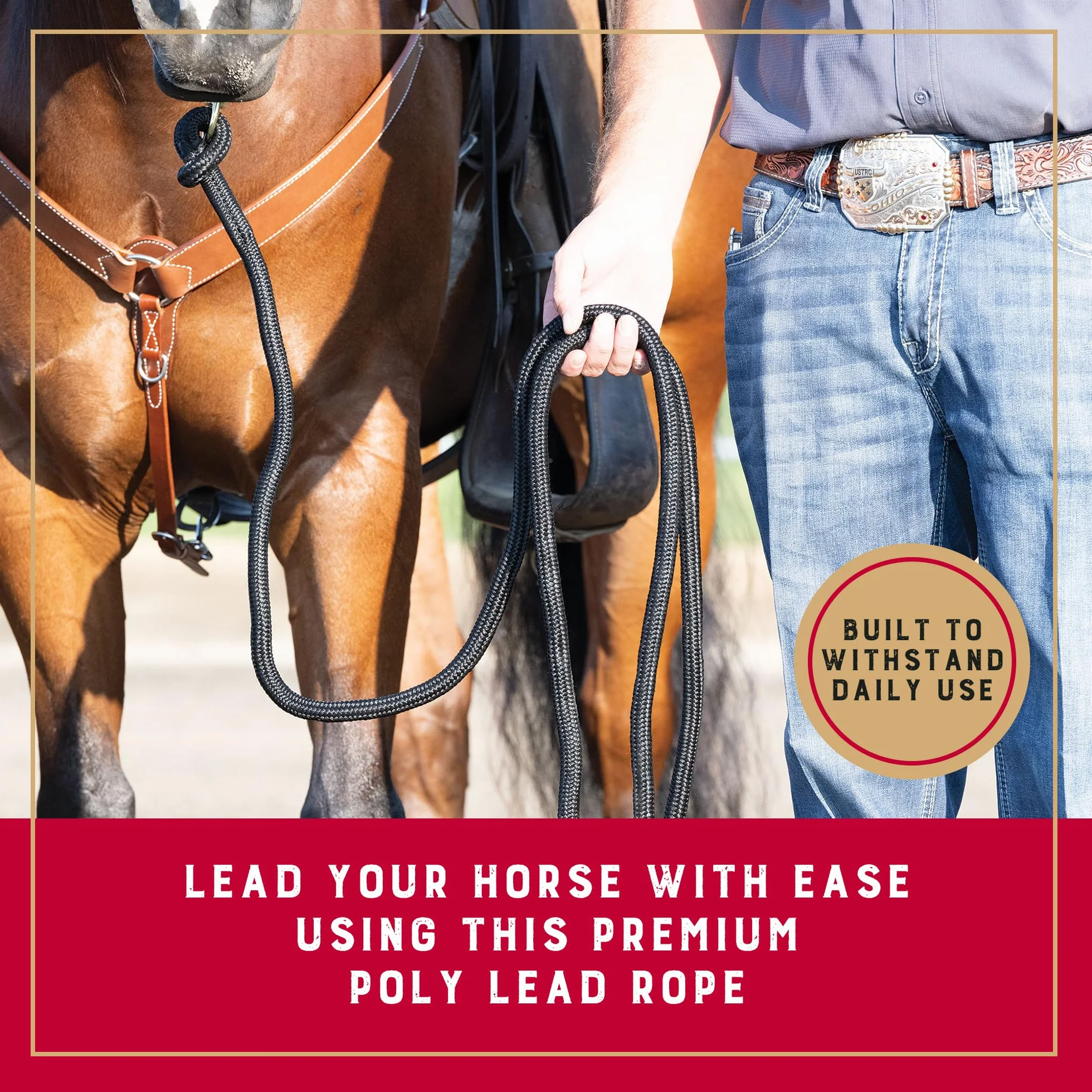 Weaver Equine Performance, Lunghina con corda lunga e attacco rapido per la cavezza, dotata di impugnatura morbida e confortevole, adatta per uso quotidiano ed esibizioni