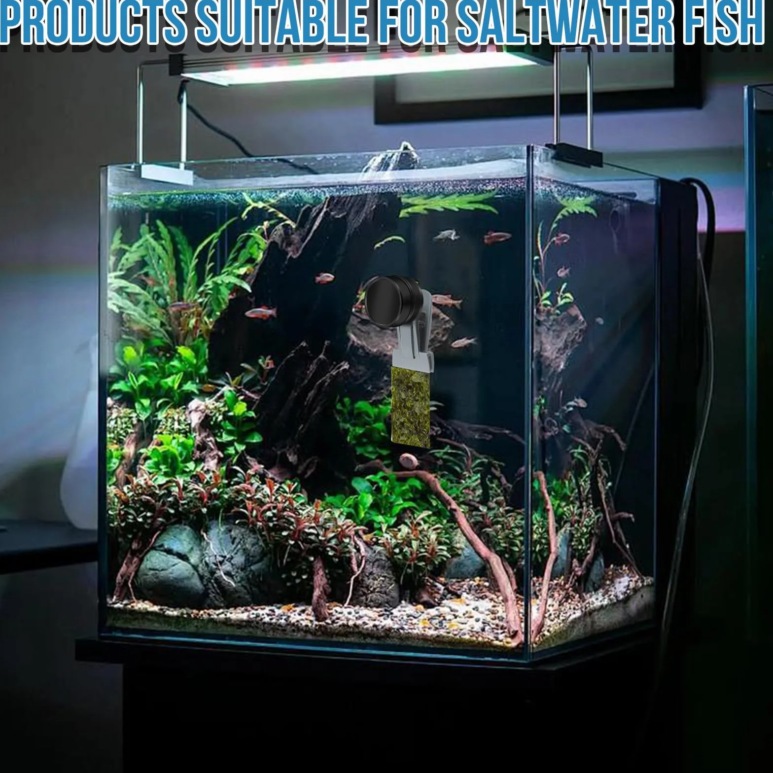 Mangiatoia per pesci rossi, accessori per acquari marini, magnete per alghe, mangiatoia per alghe marine, clip magnetiche, anello di alimentazione per acquari adatto per pesce animali acquatici
