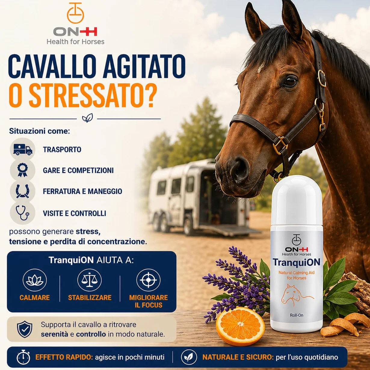 ON-H TranquiON Roll-On per Cavalli | Gel Rilassante Naturale Antistress | Applicazione Localizzata - Ideale Prima di Trasporto, Gara e Lavoro | azione Calmante senza Sedazione | Uso Quotidiano