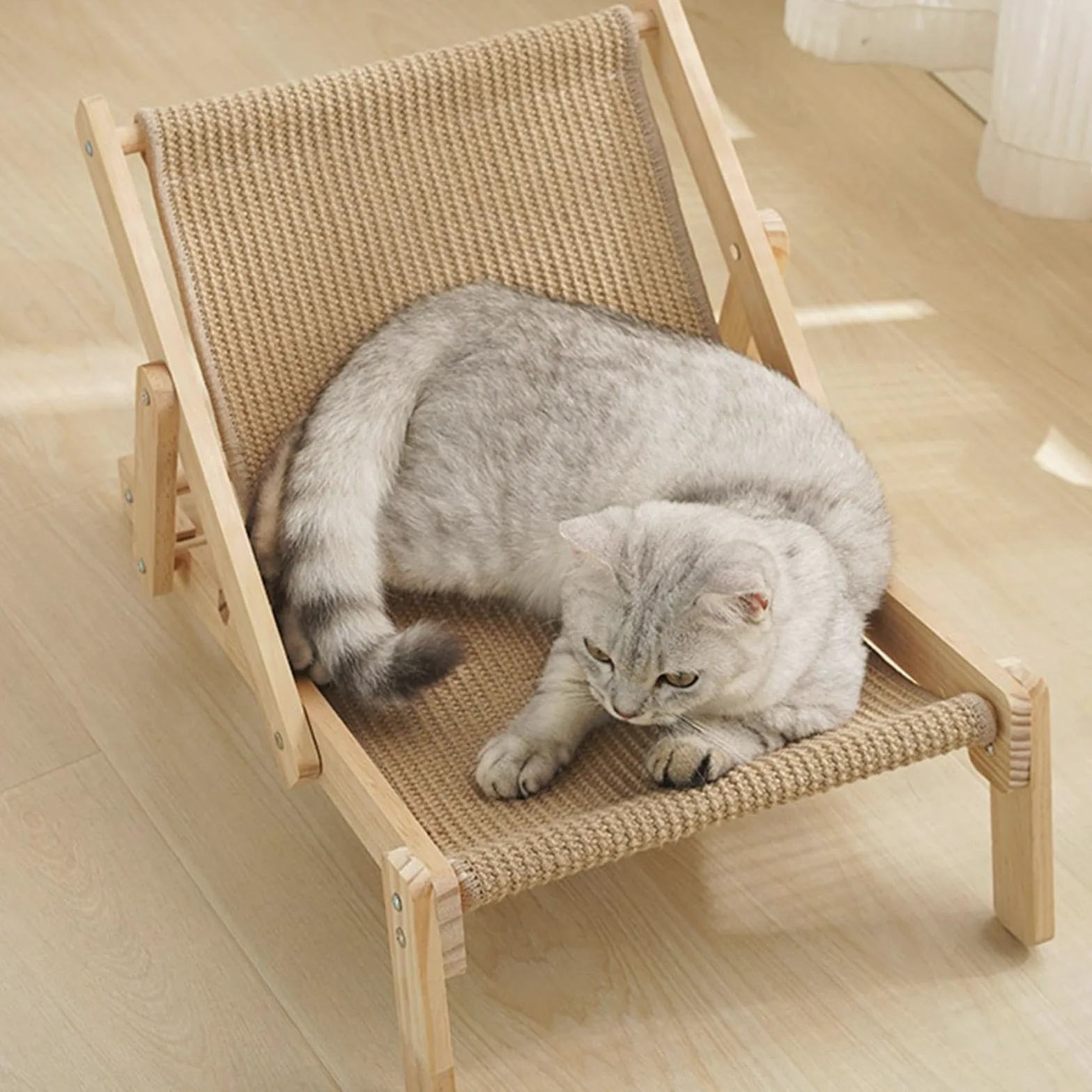 Sedia in sisal per gatti, chaise longue per gatti, amaca per gatti, sedia in cartone sisal | rimovibile con cuscino in sisal, regolabile per gatti interni di piccole dimensioni, medie e grandi