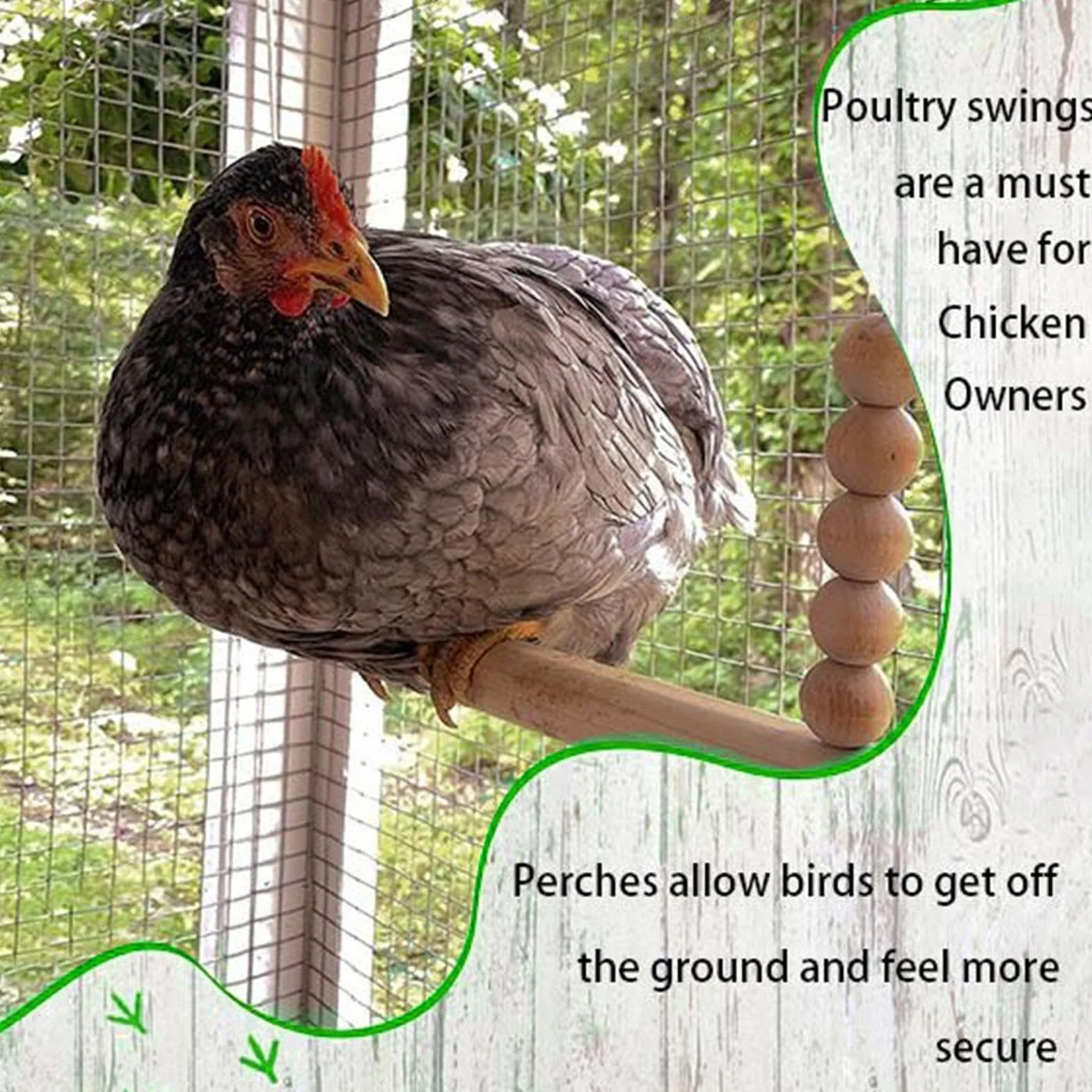 Altalena Per Galline Posatoio In Legno Naturale Stabile Interattivo Arricchimento Riposo Pappagalli