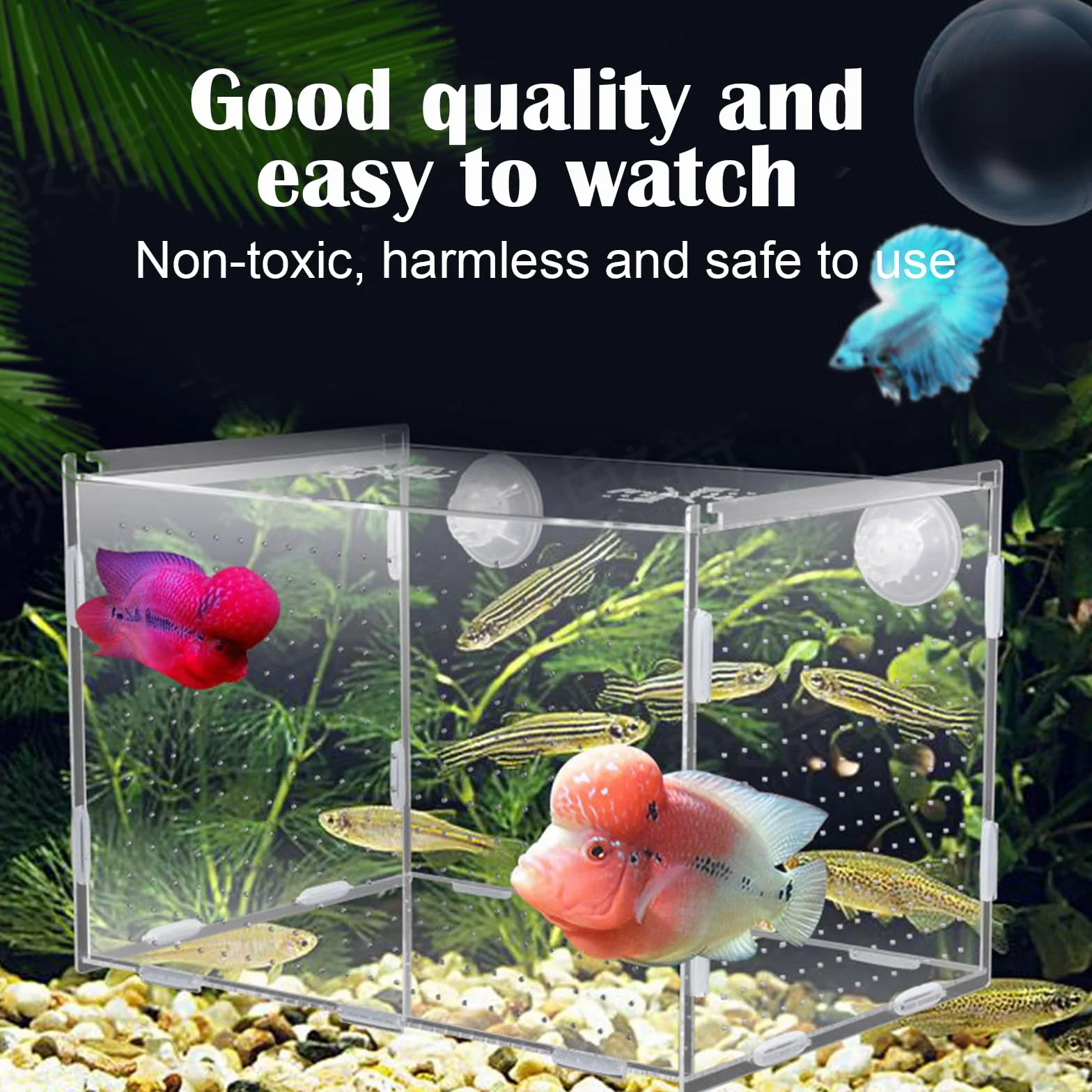 Sala parto guppy Sala Parto Pesci Acquario Salas Parto Acquario Piccola Scatola di Allevamento per Acquari può Essere utilizzato per L'isolamento la Schiusa la Piscicoltura ecc