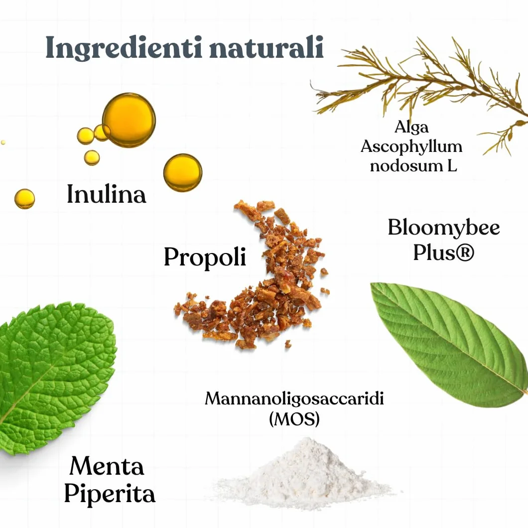 Bau Controllo Placca e Tartaro Cane in Polvere con Alga Ascophyllum Nodosum, Propoli e Menta, Mangime Complementare per Igiene Orale Senza Spazzolino, Alito Fresco e Gengive Sane del Cane