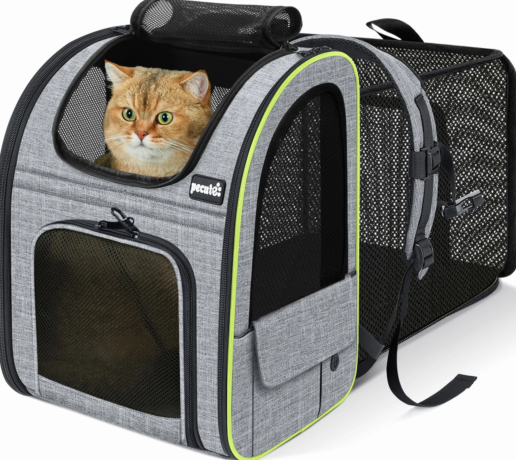 Pecute Zaino per Cani Gatti Estensibile, Cuccia Portatile, Trasportino Estraibile Indicato per Viaggi Sia Lunghi Che Corti, Grigio