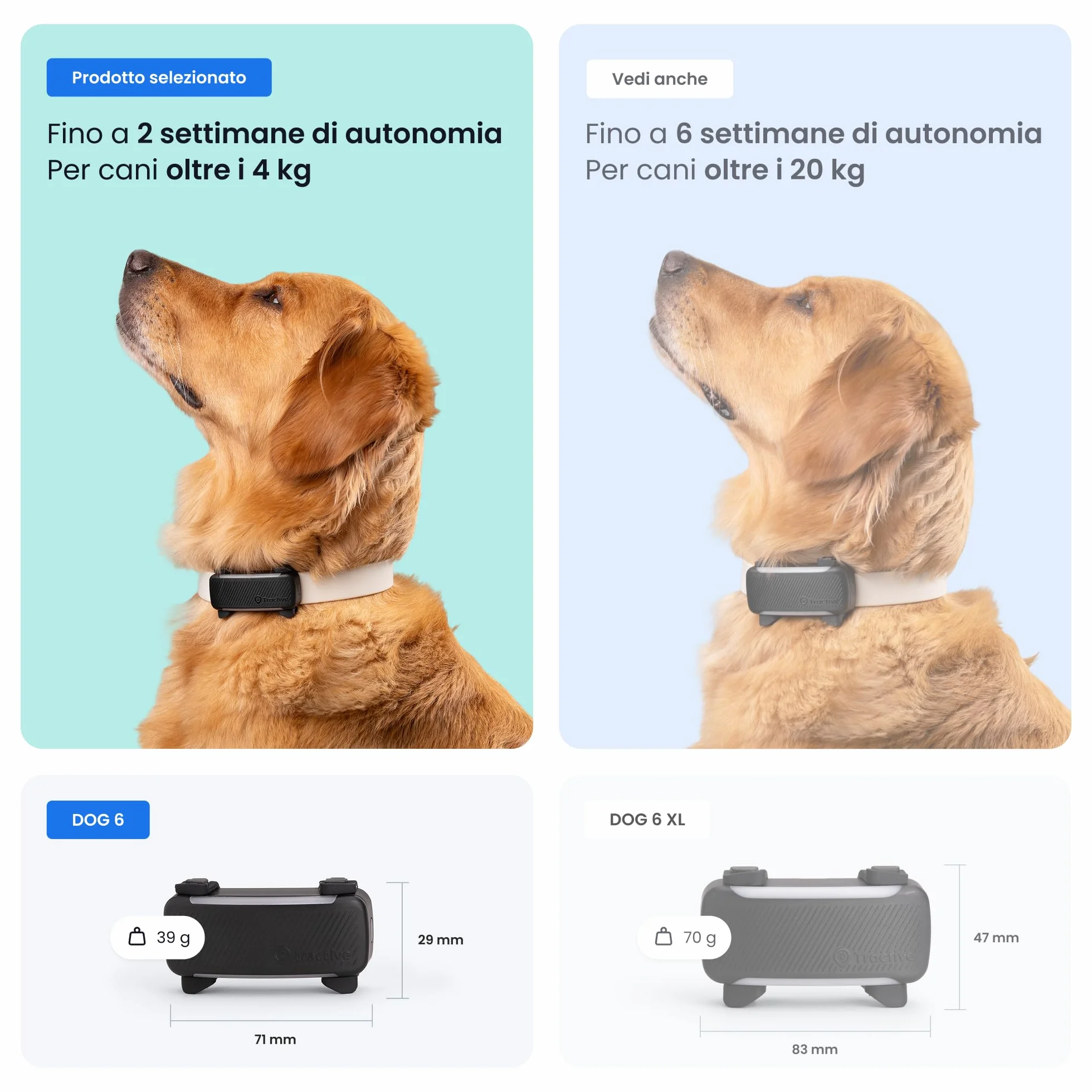 Tractive - GPS per cani | 2025 Edizione | N. 1 sul mercato | Localizzazione in tempo reale | Notifiche antifuga | Monitoraggio dell'attività | Avvisi di salute | Monitoraggio degli abbai (Nero)