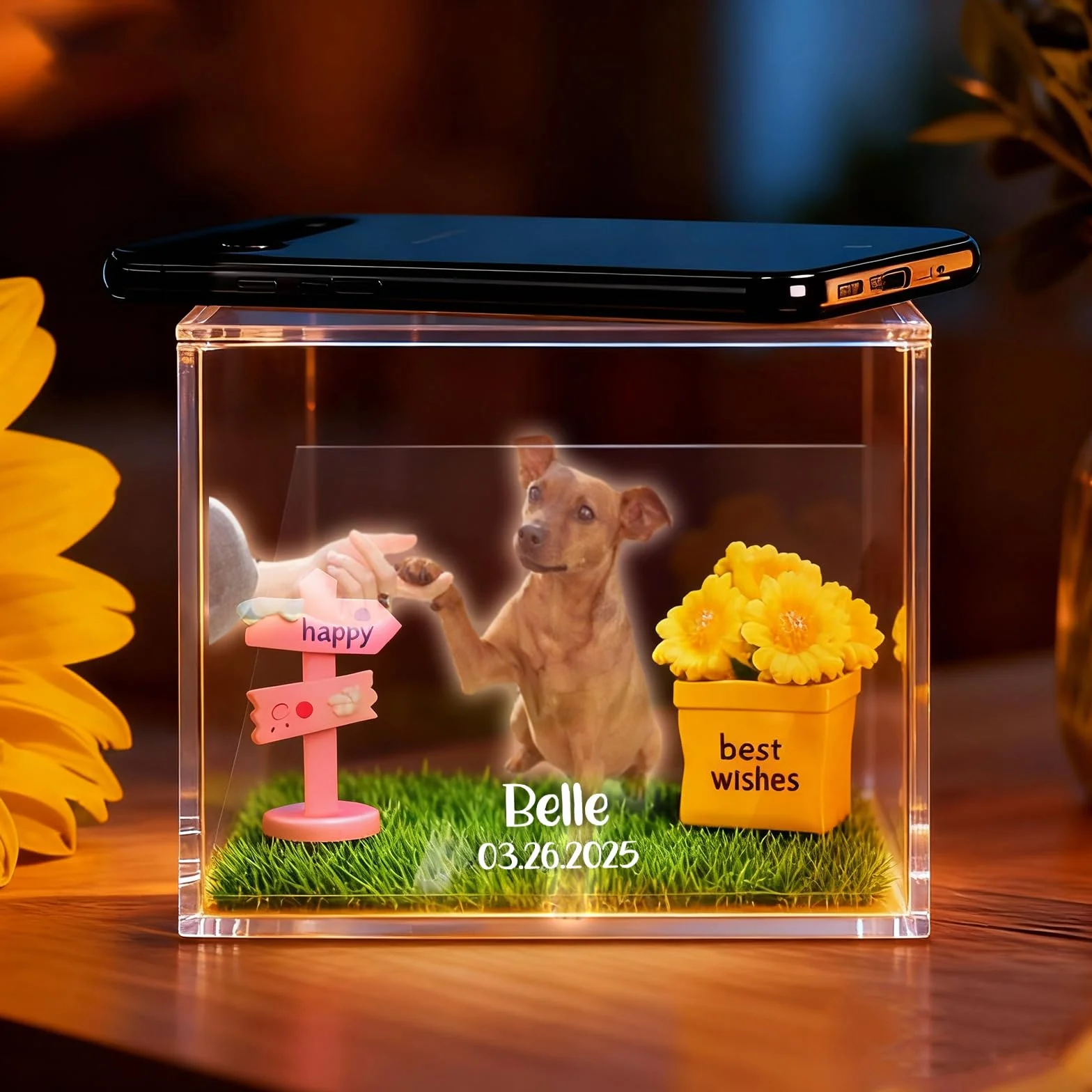 Scatola Commemorativa Olografica Personalizzata per Animali Domestici – Cornice in Resina con Foto e Incisione – Regalo Speciale per Ricordare il Tuo Animale, Perfetto per Amici, Familiari