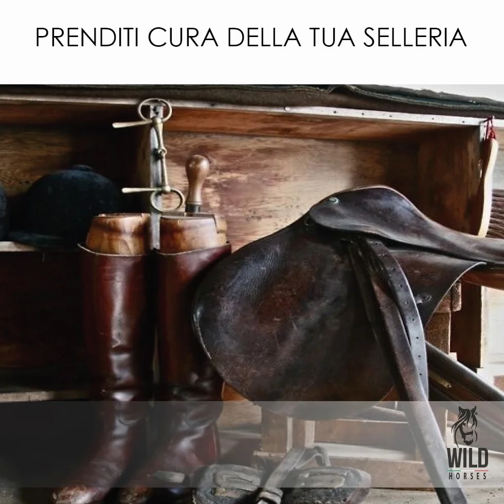 Wild Horses | Balsamo Cuoio & Pelle con Cera d'Api, Restituisce Lucentezza ed Elasticità, per Cuoio e Selleria, 500g, Made in Italy