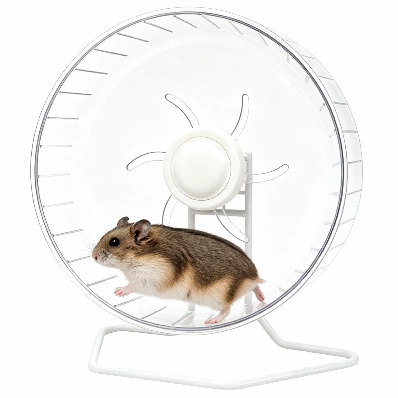 Ruota Silenziosa Per Criceti Rullo da corsa silenzioso trasparente con | Ruota Silenziosa per Criceti Adatto a Topi Gerbilli Arricchimento Petauro Riccio Furetto Coniglio Animali Domestic