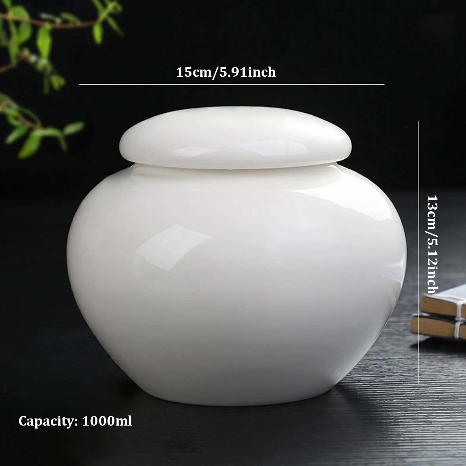 Urne per ceneri Urna bianca in ceramica da 1000 ml, urne per cremazione a tenuta stagna per ceneri umane, urna commemorativa per di animali domestici da 5, 9x5, 1 pollici per cani e gatti per f