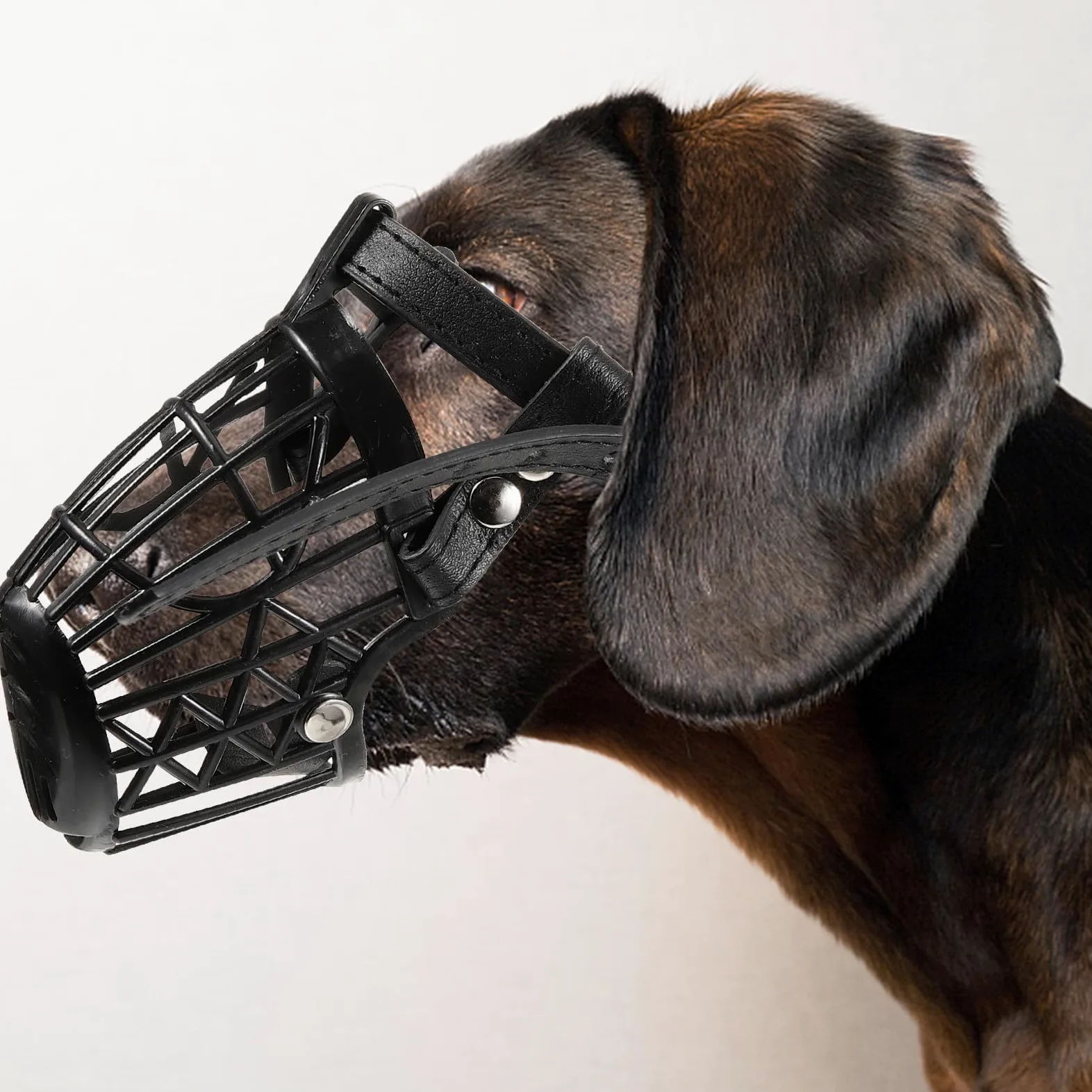 Artibetter Museruola Sicurezza Anti-morso in Plastica con Cinturino Regolabile per Cani in Pu Pelle Nero Design a Gabbia Traspirante per Cani e Animali Domestici