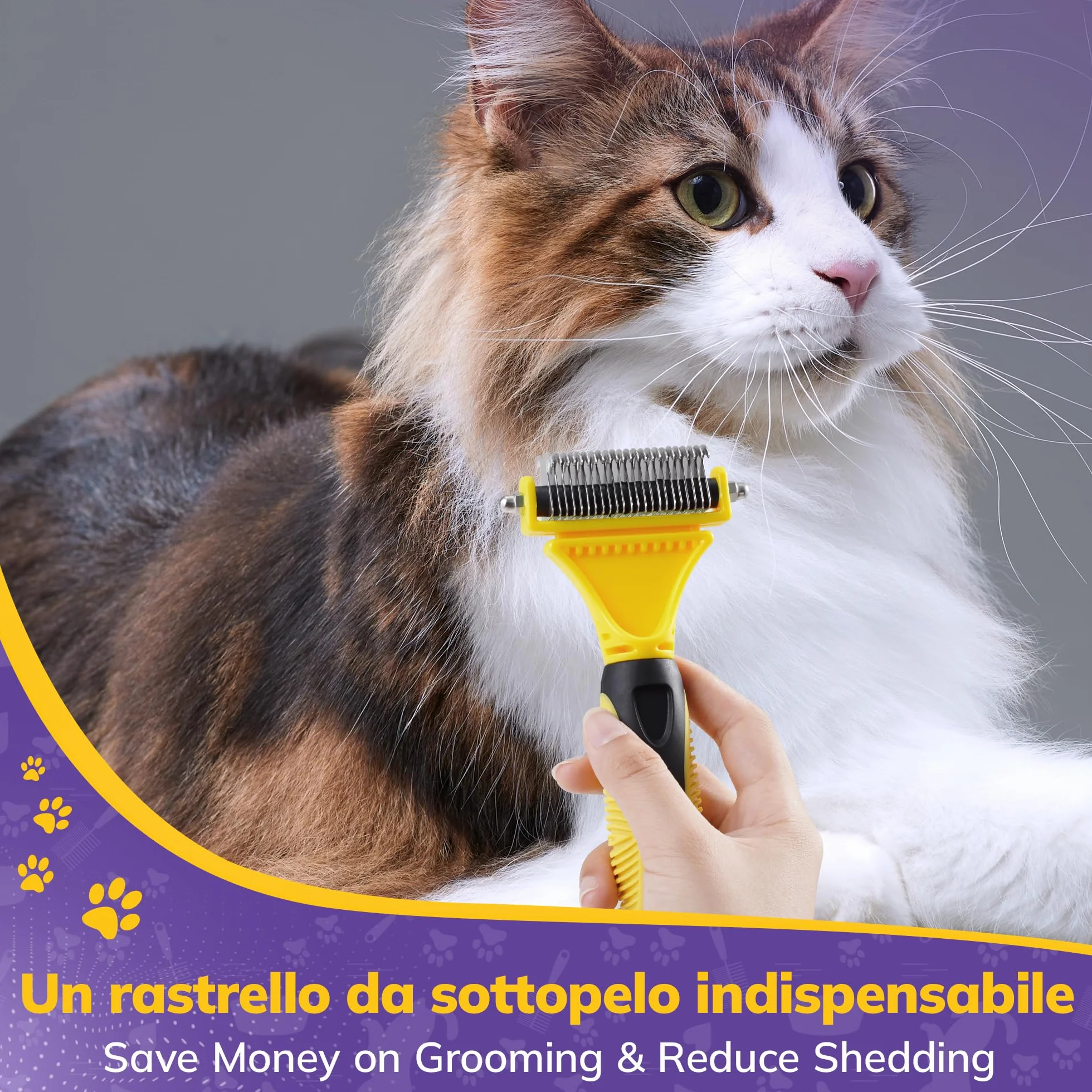 Morpilot Spazzola per Cani Gatti Pelo Lungo, Pettine Professionale Spazzola Sottopelo Cardatore Rimuovere Peli Superflui Sbrogliare Nodi