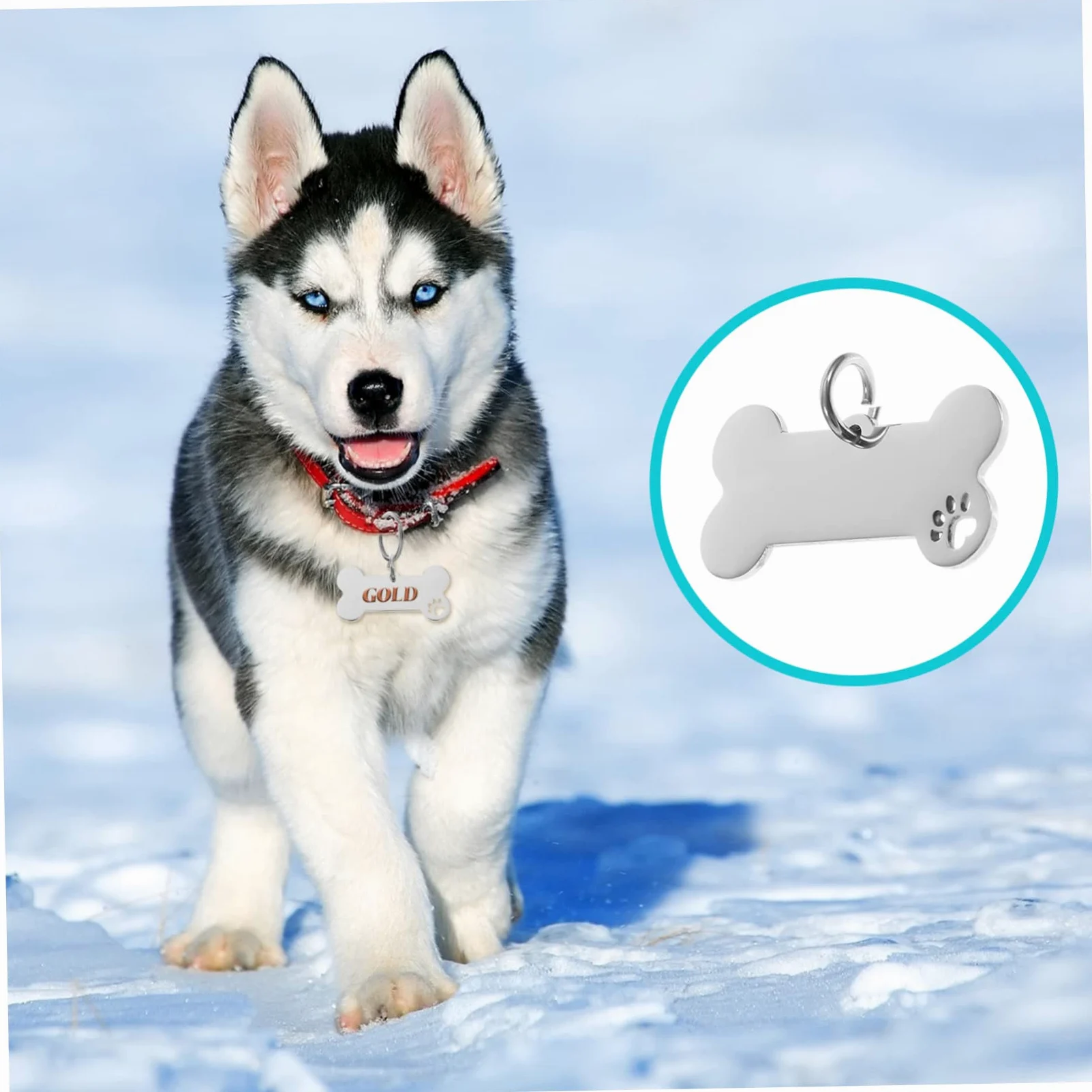 SUPVOX 20pezzi Medagliette Identificative Acciaio Inossidabile Per Animali Domestici Targhette Forma Di Osso Per Cuccioli Accessori Antismarrimento Incisi Design Elegante e Durevole Per