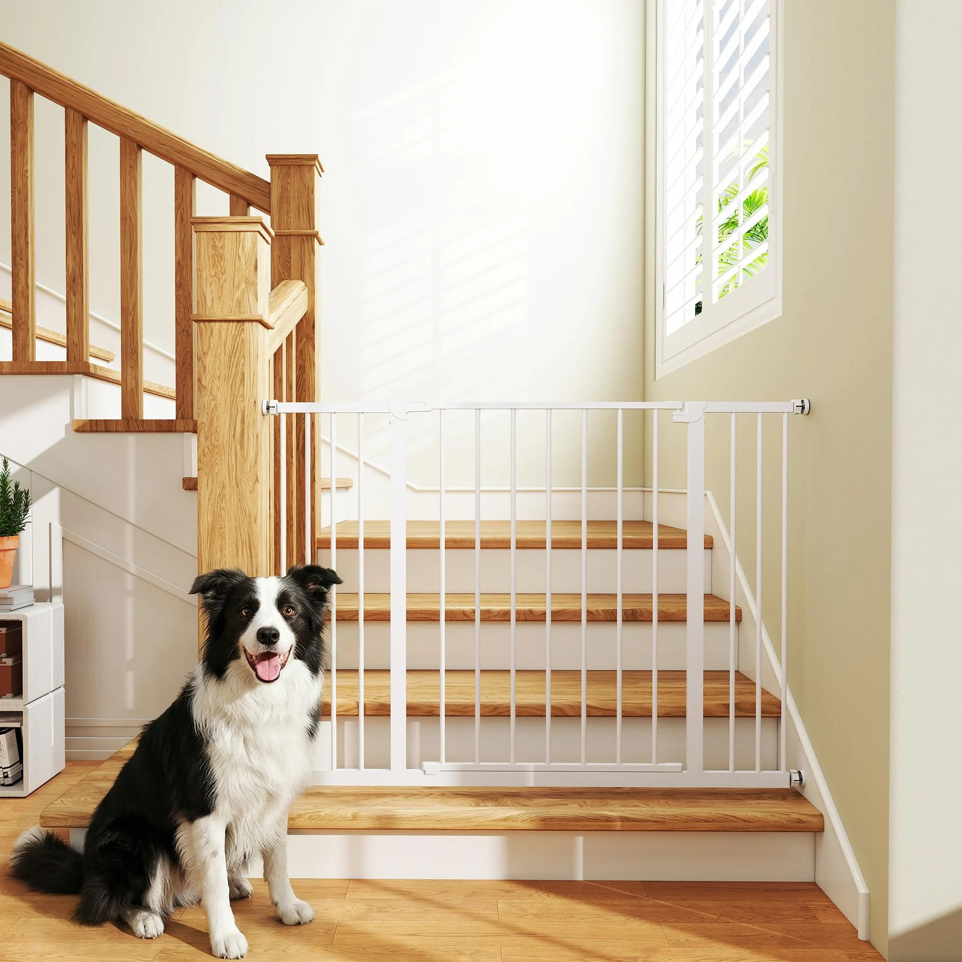 PawHut Cancellino per Cani Estensibile 76-107 cm Metallo Plastica Bianco