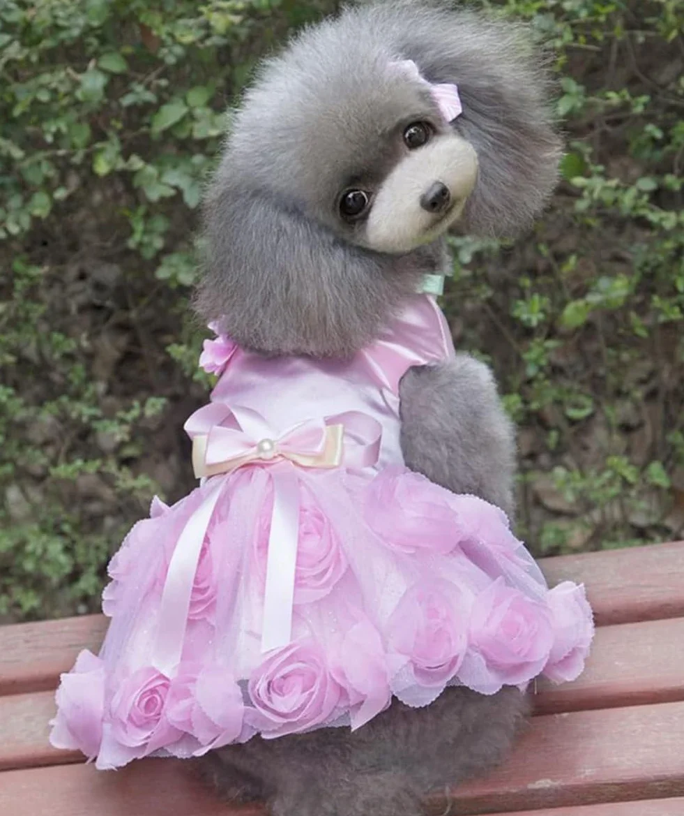 Cane Vestito di Lusso Cucciolo Gonna Vestiti per Cani Principessa Abiti da Sposa Abito da Sera Tutu Gonna Fiore Rosa Bowknot Vestito per Piccolo Cane