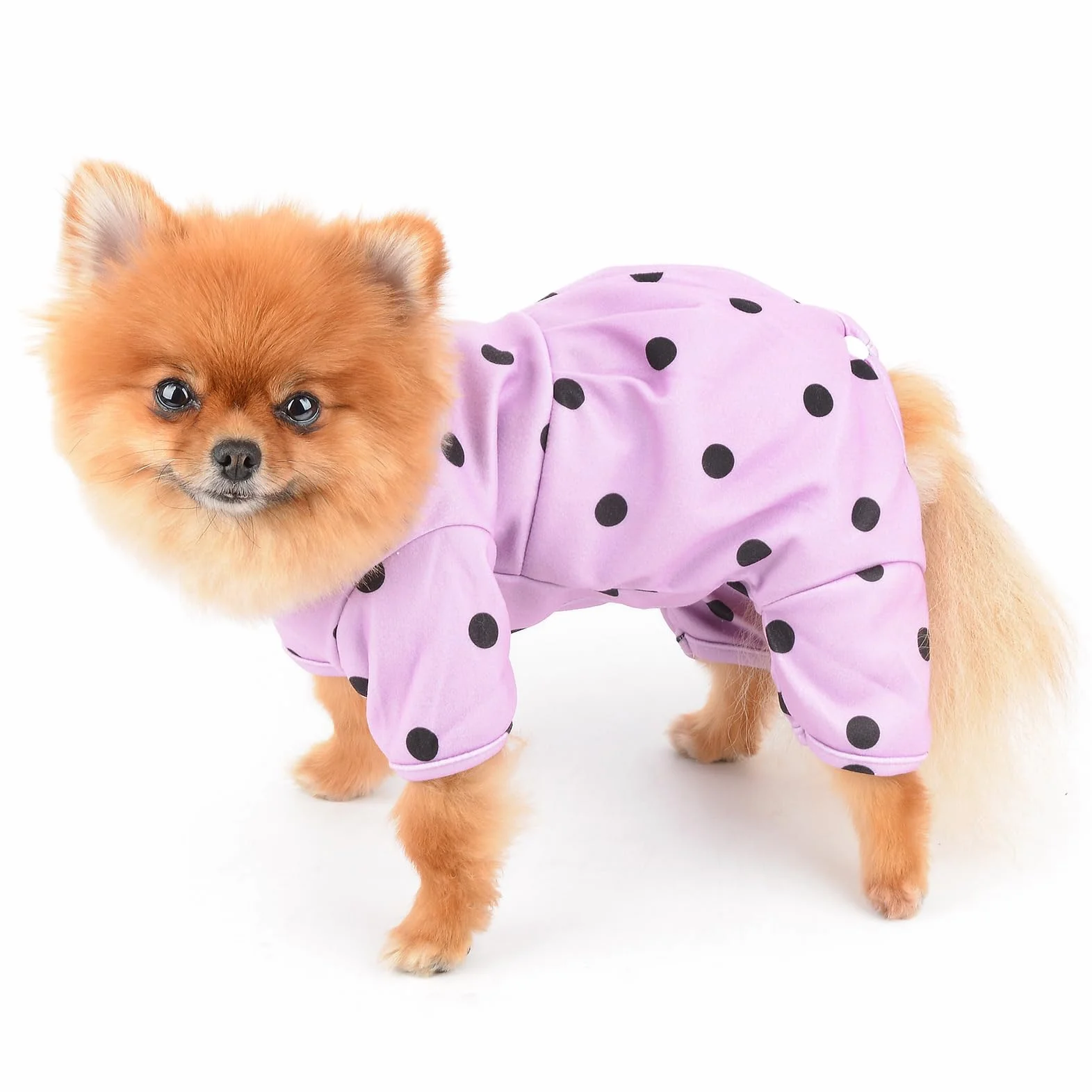 Pigiama Cani Piccola Taglia a Pois Retrò Tuta Elastica 4 Zampe per Gatti e Cuccioli Abbigliamento Notte Caldo Morbido Viola XS