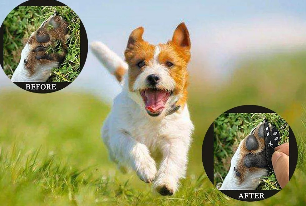 VALFRID Cani Protezioni Zampe Pads Antiscivolo Gomma Autoadesivo Resistente 40 pz M