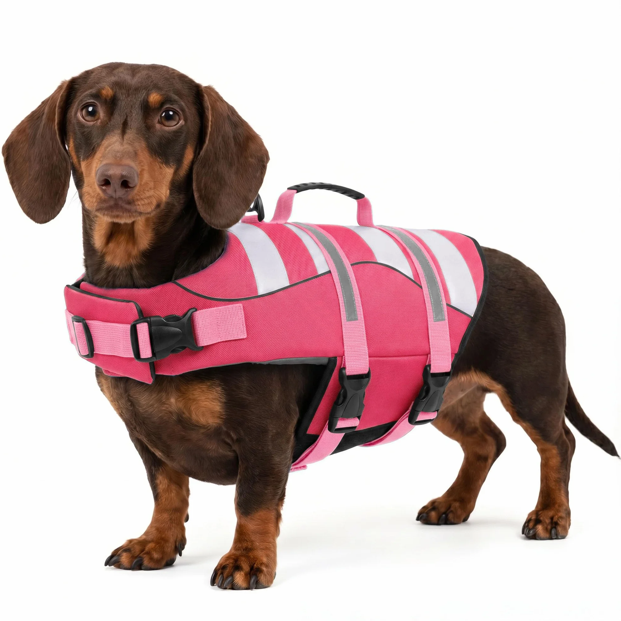 ASENKU Giubbotto Salvataggio per Cane Salvagente Taglia Piccola XS Galleggiante Alta Visibilità con Maniglia Sicurezza Acqua Spiaggia Barca