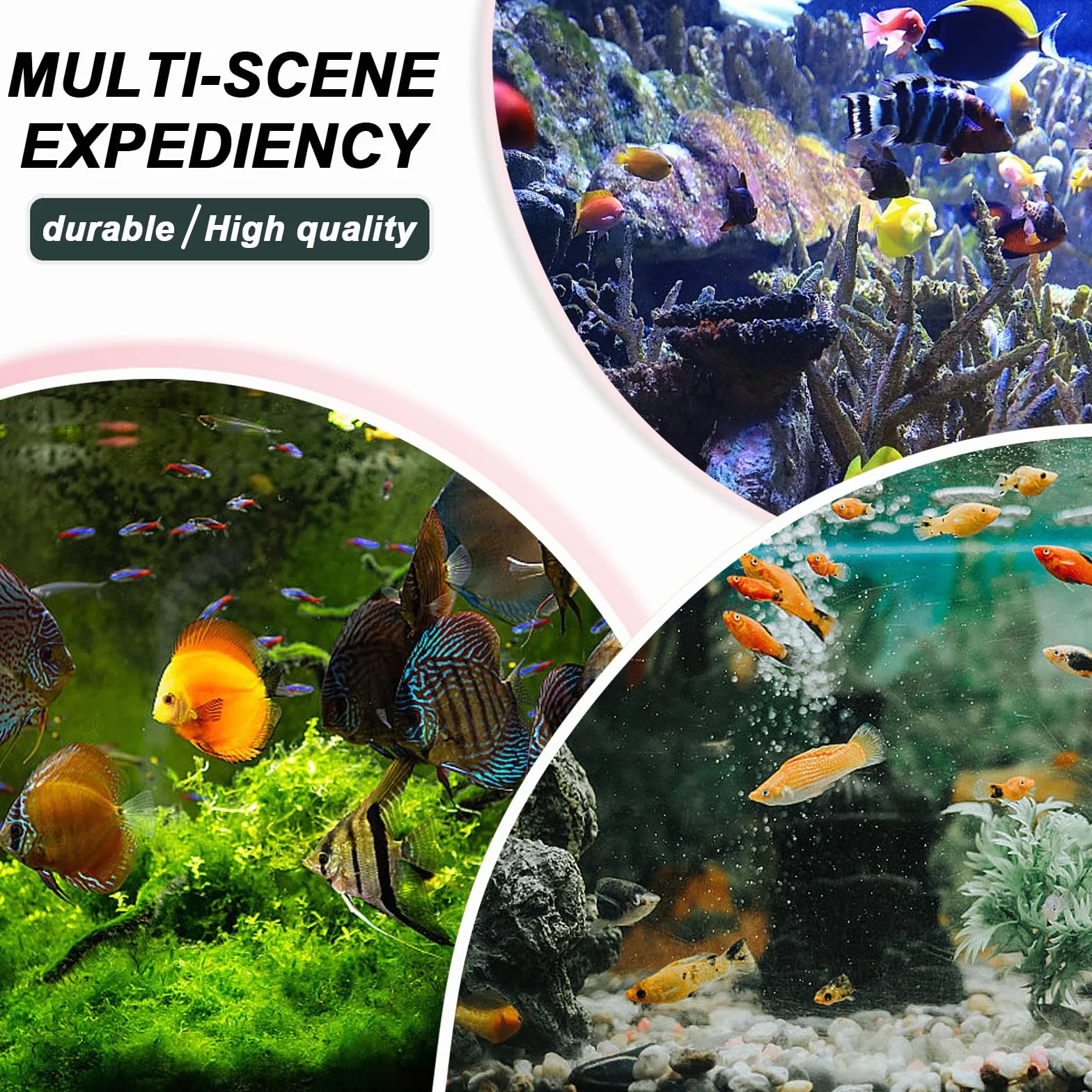 Sala Parto Guppy, Scatola Di Allevamento Per Acquario, Isolare Piantine E Sostenere L'incubazione