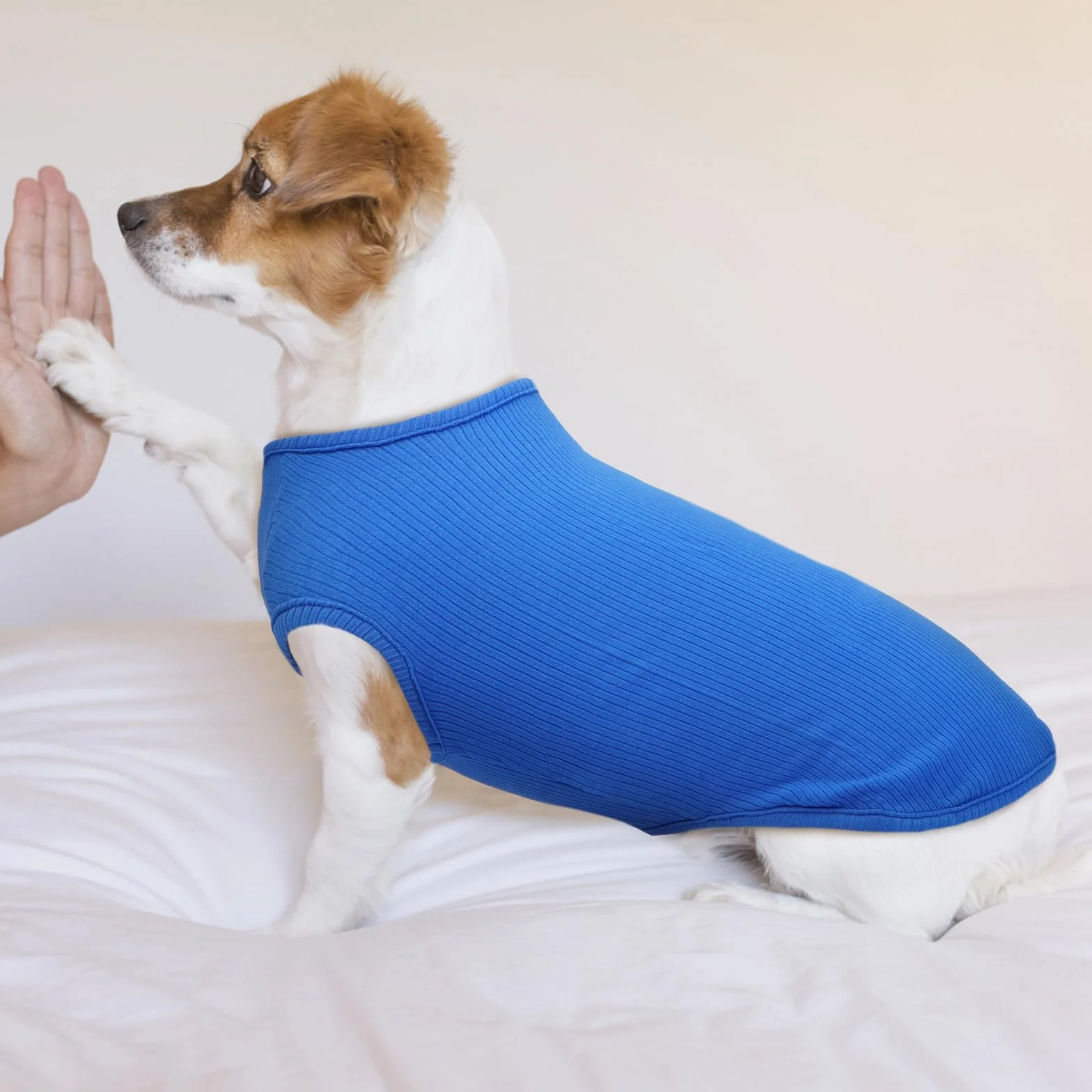 Blu zaffiro XXS Maglietta Cane Sottile Maglione Estiva Taglia Piccola Maglia Elastico a Righe