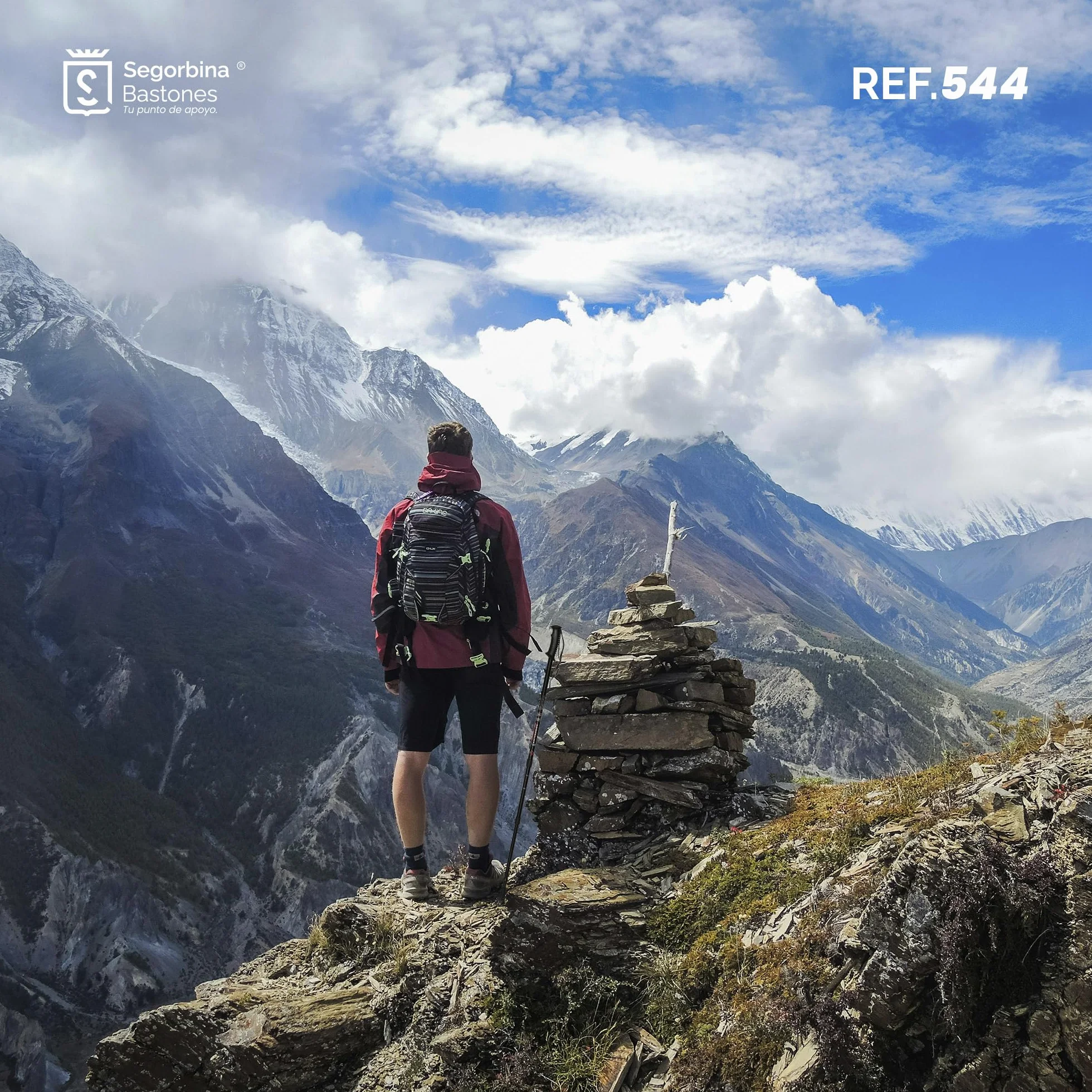 Bastone da trekking estensibile in alluminio nero