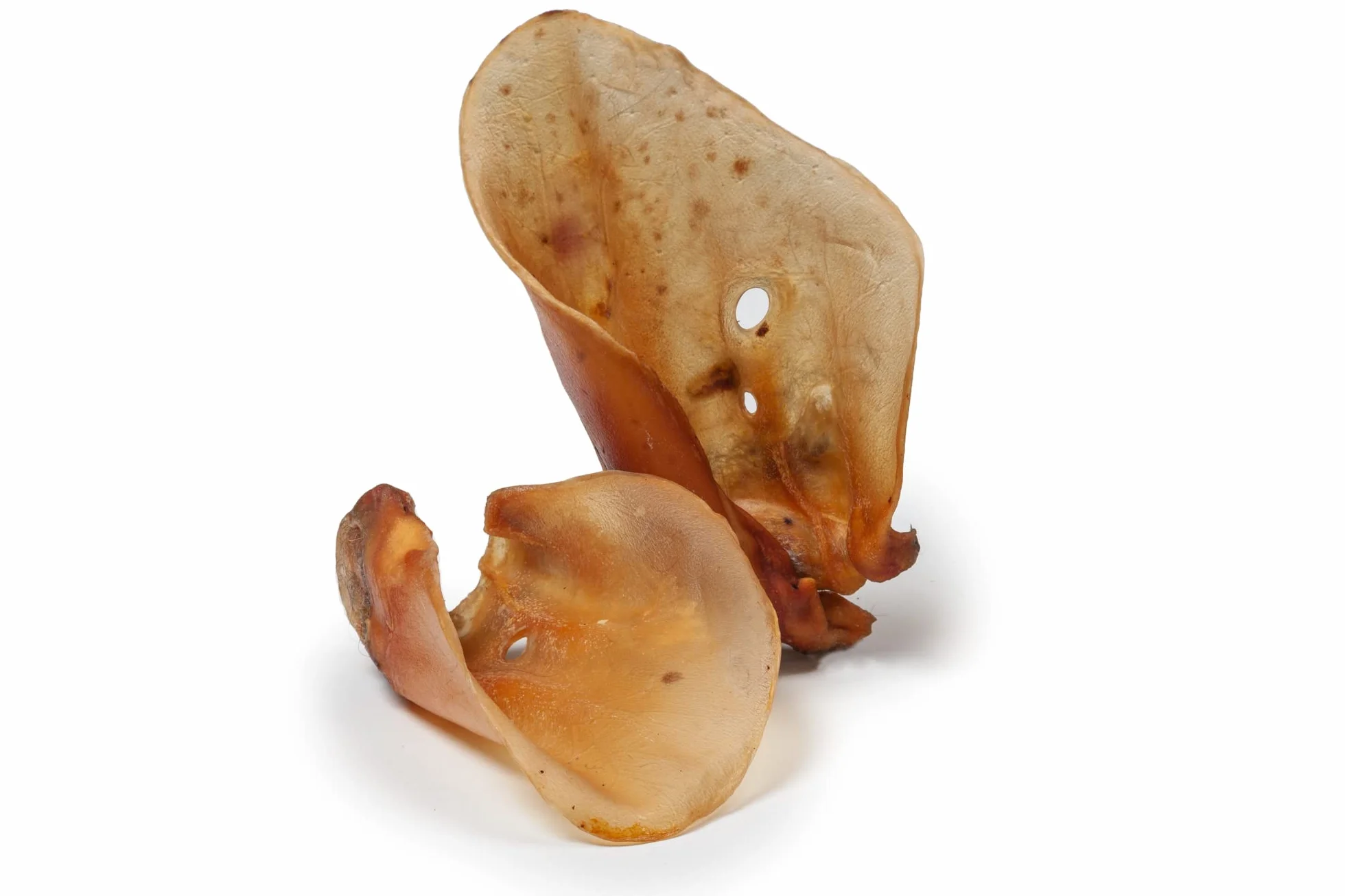 DIBO Orecchie di manzo, 10 sacchetti, piccoli snack o dolcetti per cani, prodotti da masticare di qualità senza prodotti chimici