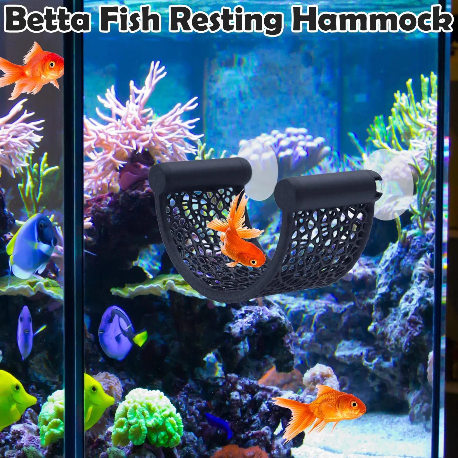 1 Pezzi Amaca per Pesci Betta, Posto di Riposo Galleggiante a Forma di U con Ventosa, Decorazione per Acquari di Piccole Dimensioni, Accessori da Tavolo per Betta e Gamberetti (Nero)