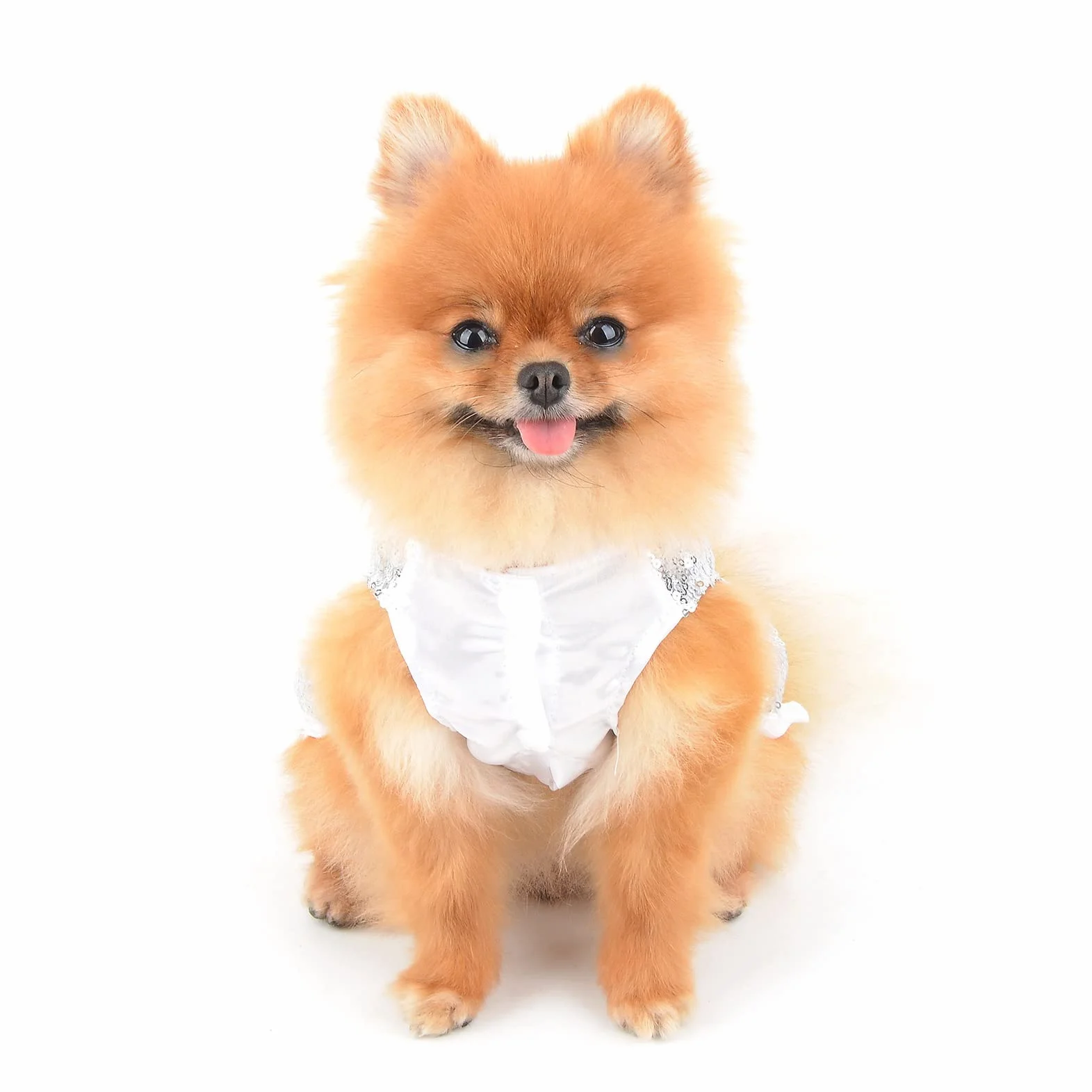Abito con paillettes metallizzate per cani piccola taglia e gatti argento XS