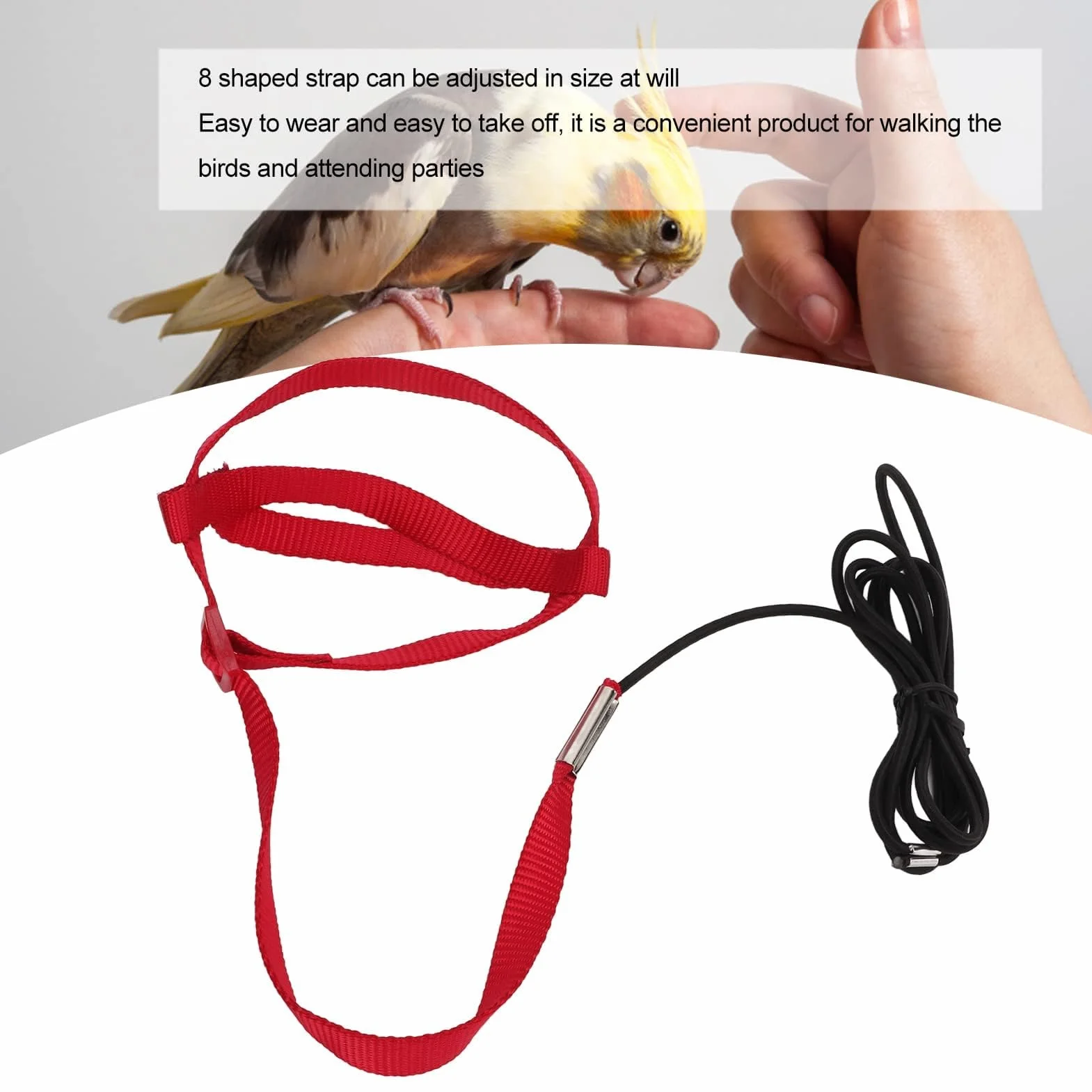 Pettorina Per Uccelli, Imbracatura Per Uccelli Guinzaglio Regolabile Per Pappagalli Guinzaglio Per Attività All'aria Aperta Corda Da Addestramento Cinghia Per Piccola Pappagallino