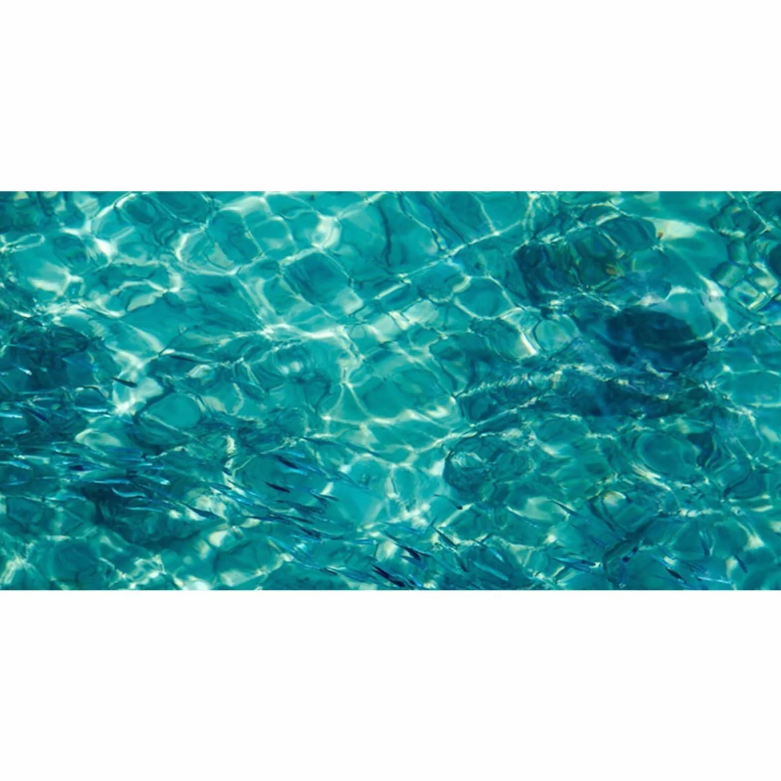 61x30cm Sfondo per Acquario Blu Sottomarino, Tema Oceano Naturale, Sfondo per Acquario, Vinile Resistente