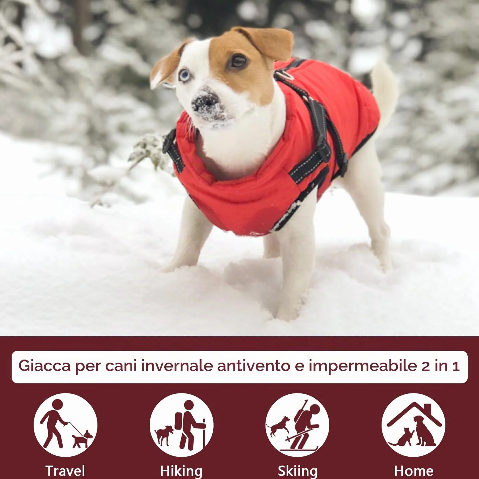 Giacche invernali per cani Antivento Impermeabili 2 in 1 Cappotto termico Blu XXL