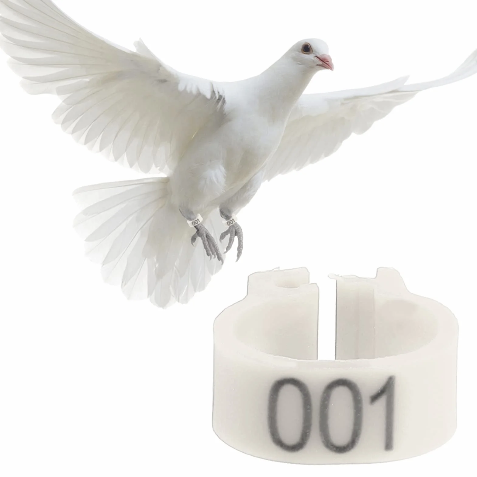 Cyrank 100 Pz/Borsa Anelli di Piccione, 8mm Anelli per Zampe di Uccello in Plastica 001-100 Anelli di Fasce per Gambe di Uccello di Piccione di Lettera di Plastica Numerata(Bianco)