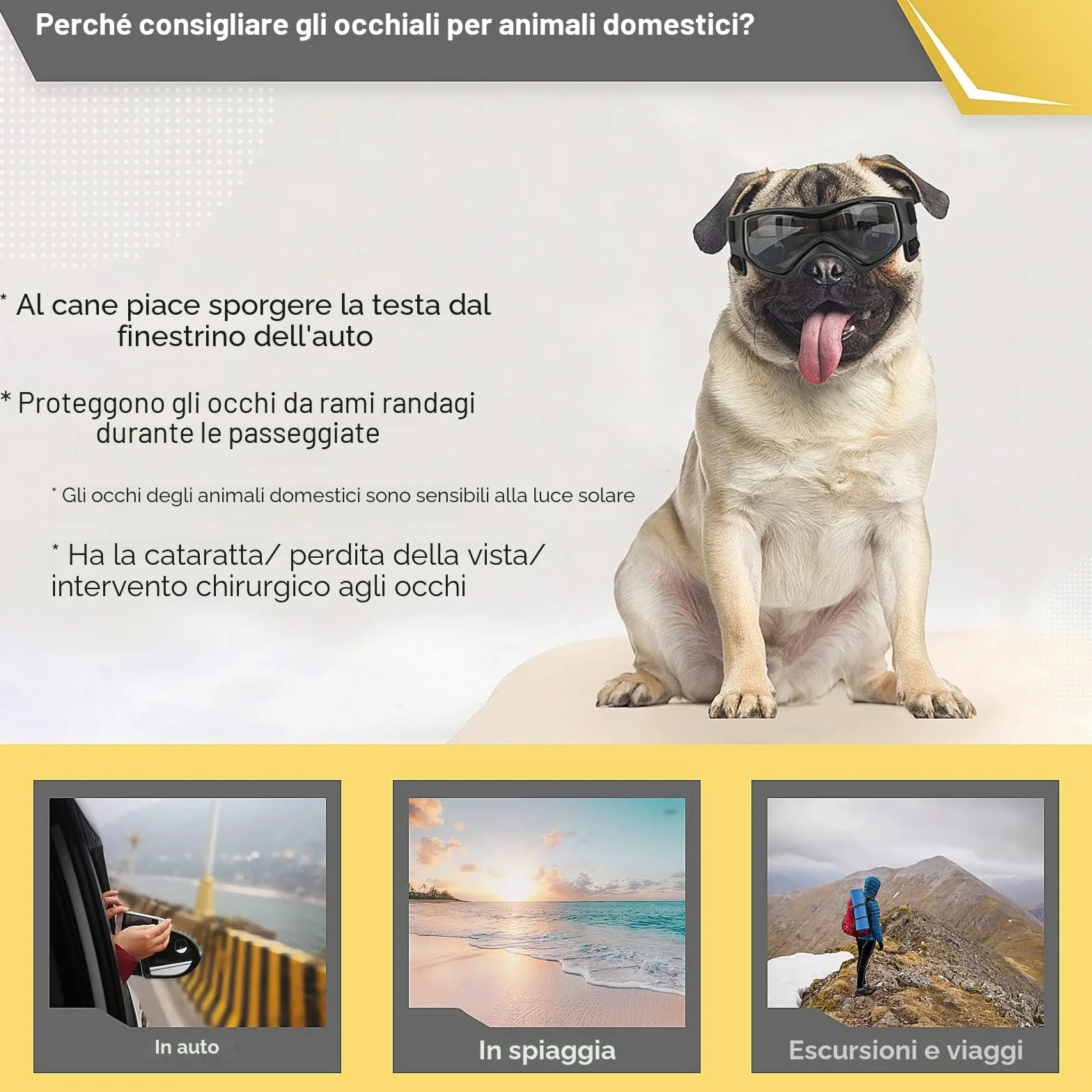 NAMSAN Occhiali da sole per cani Protezione per gli occhi per cani di piccola e media taglia